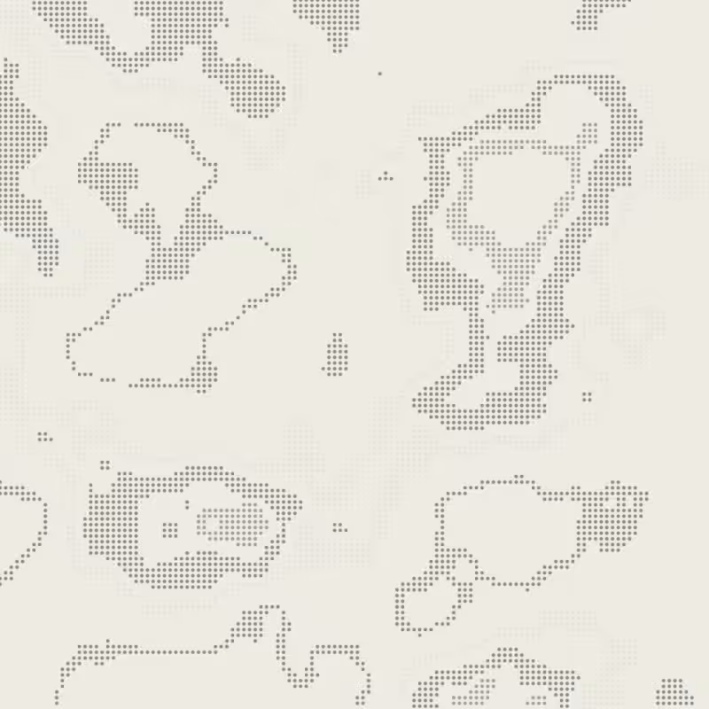 Petri 1500 #986