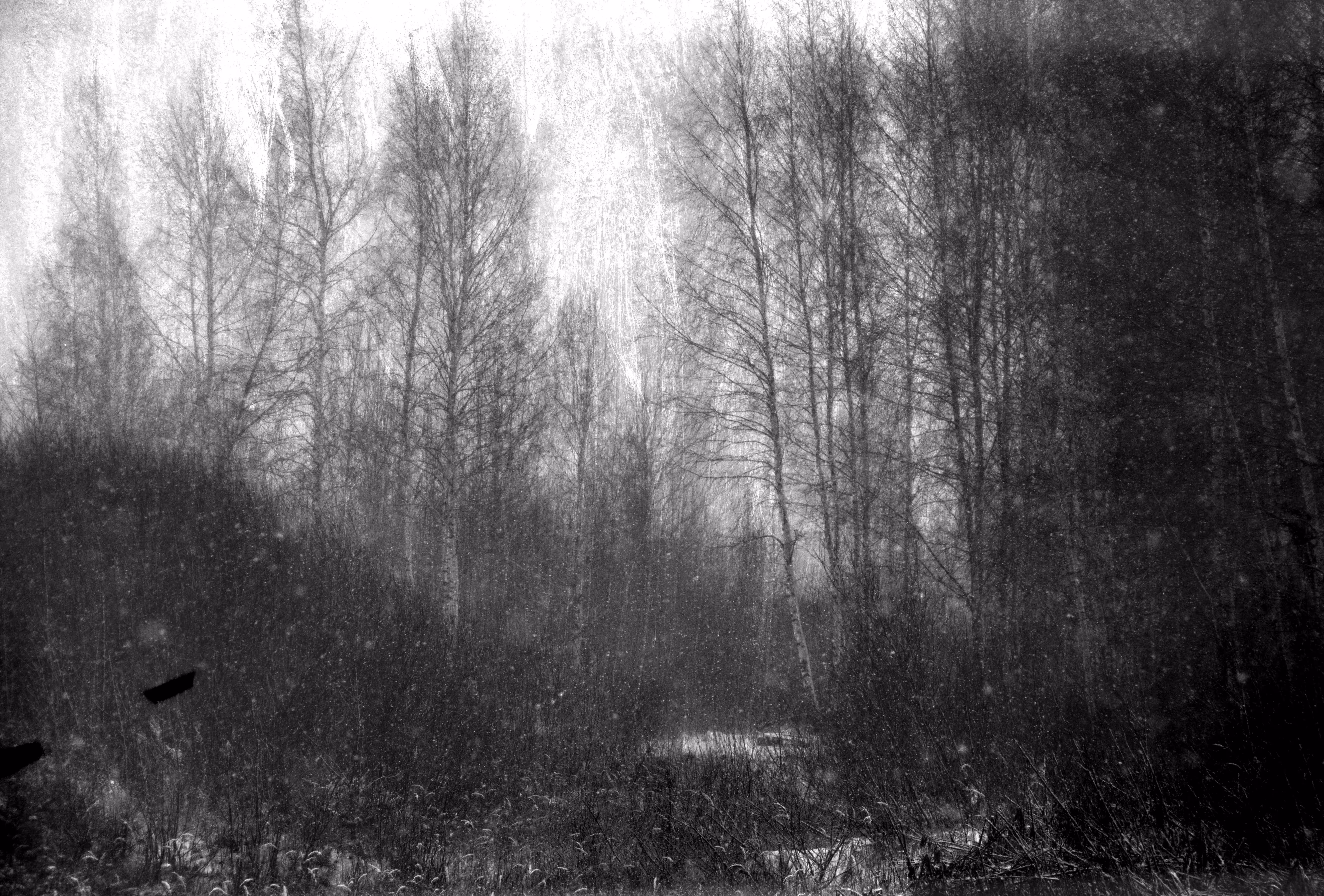 Last shelter