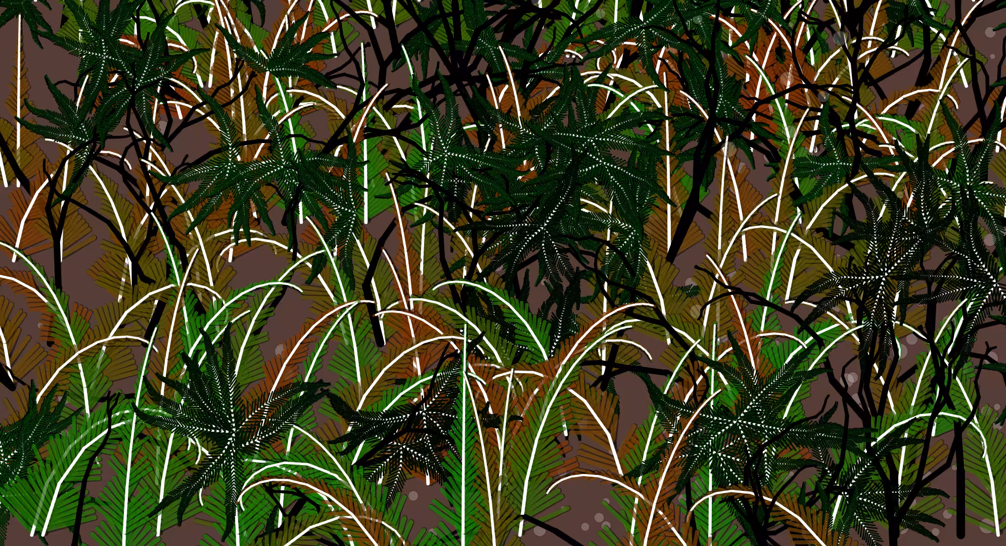 Fern Forest #4