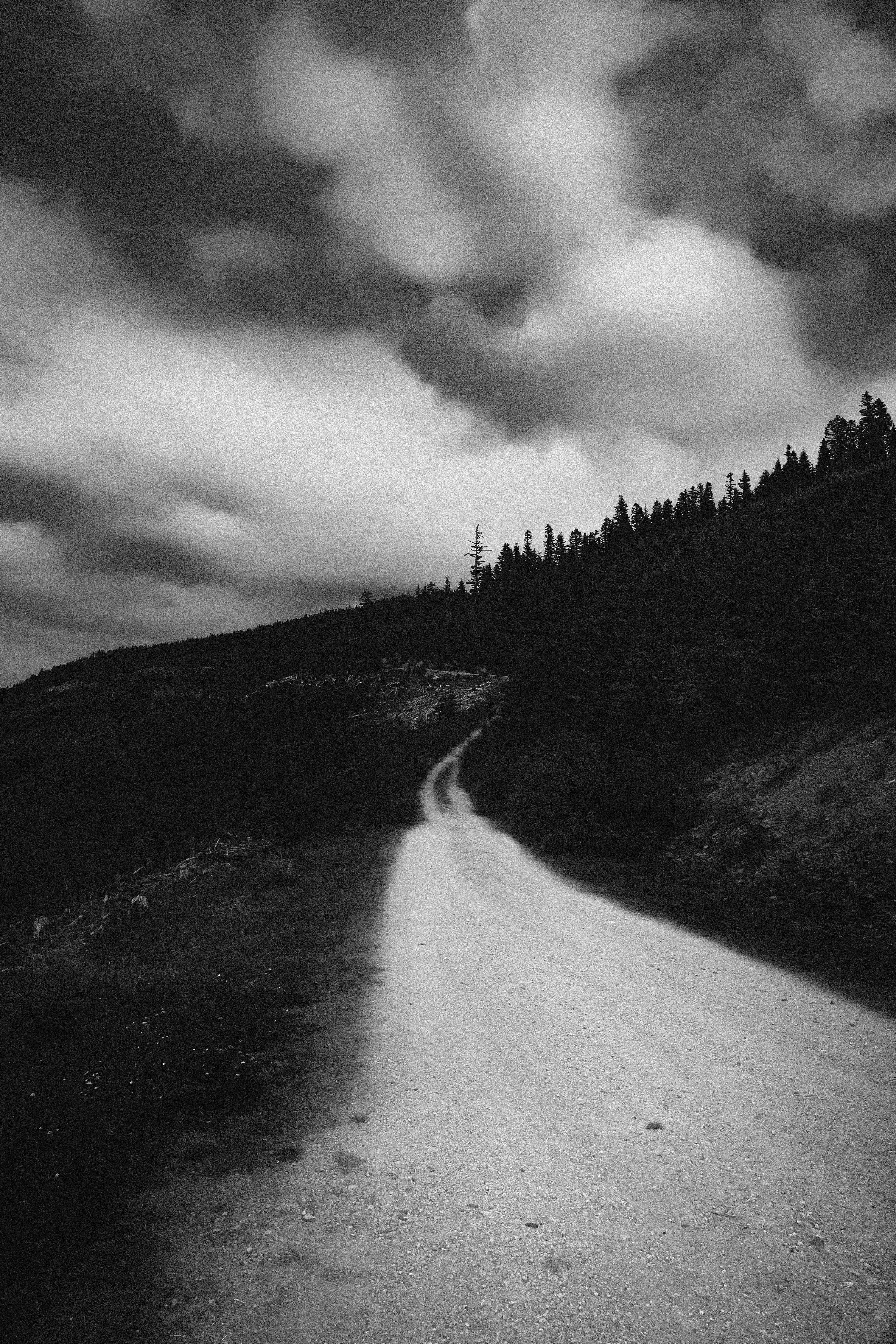 The Road Ahead