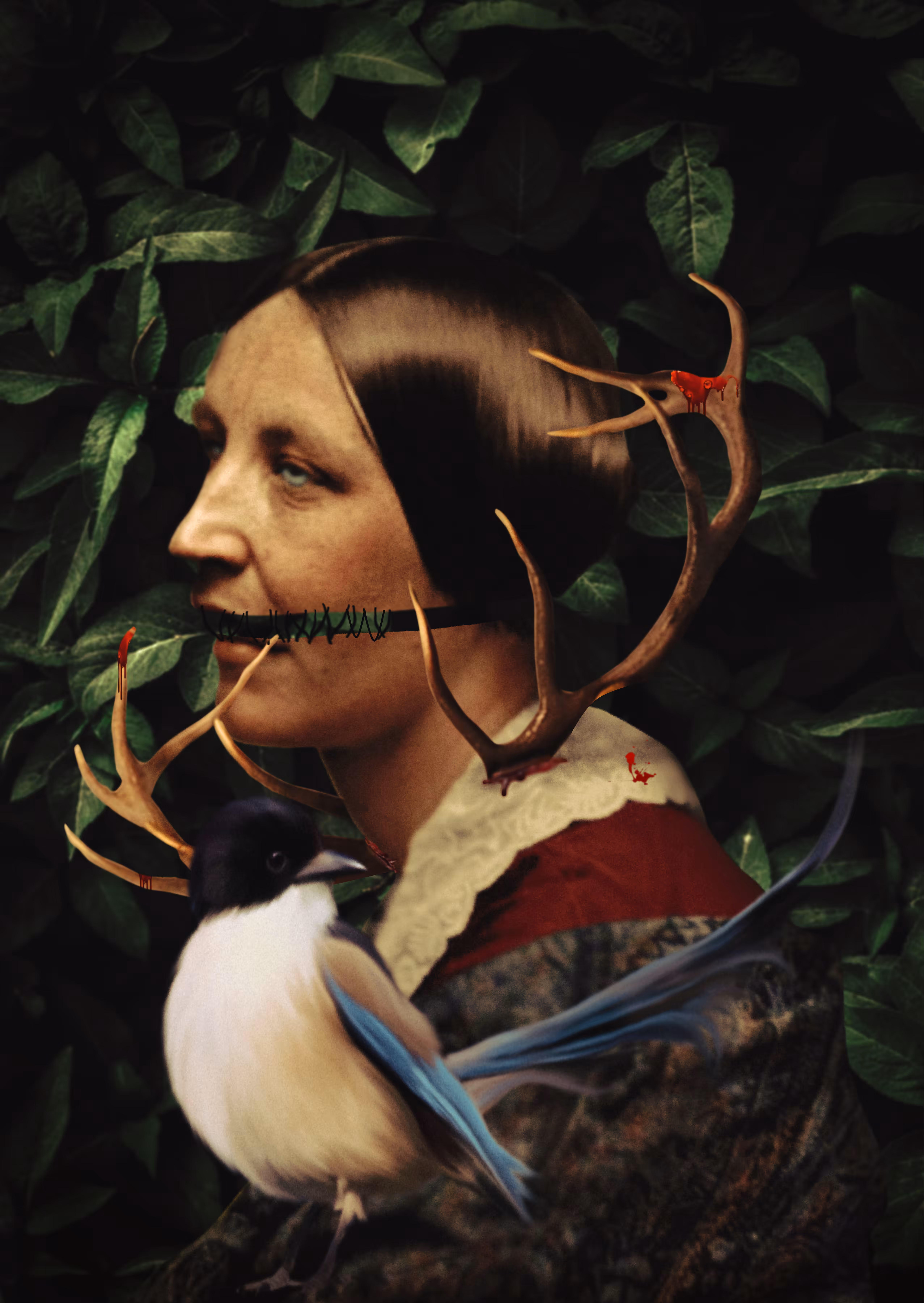 LADYBIRD 