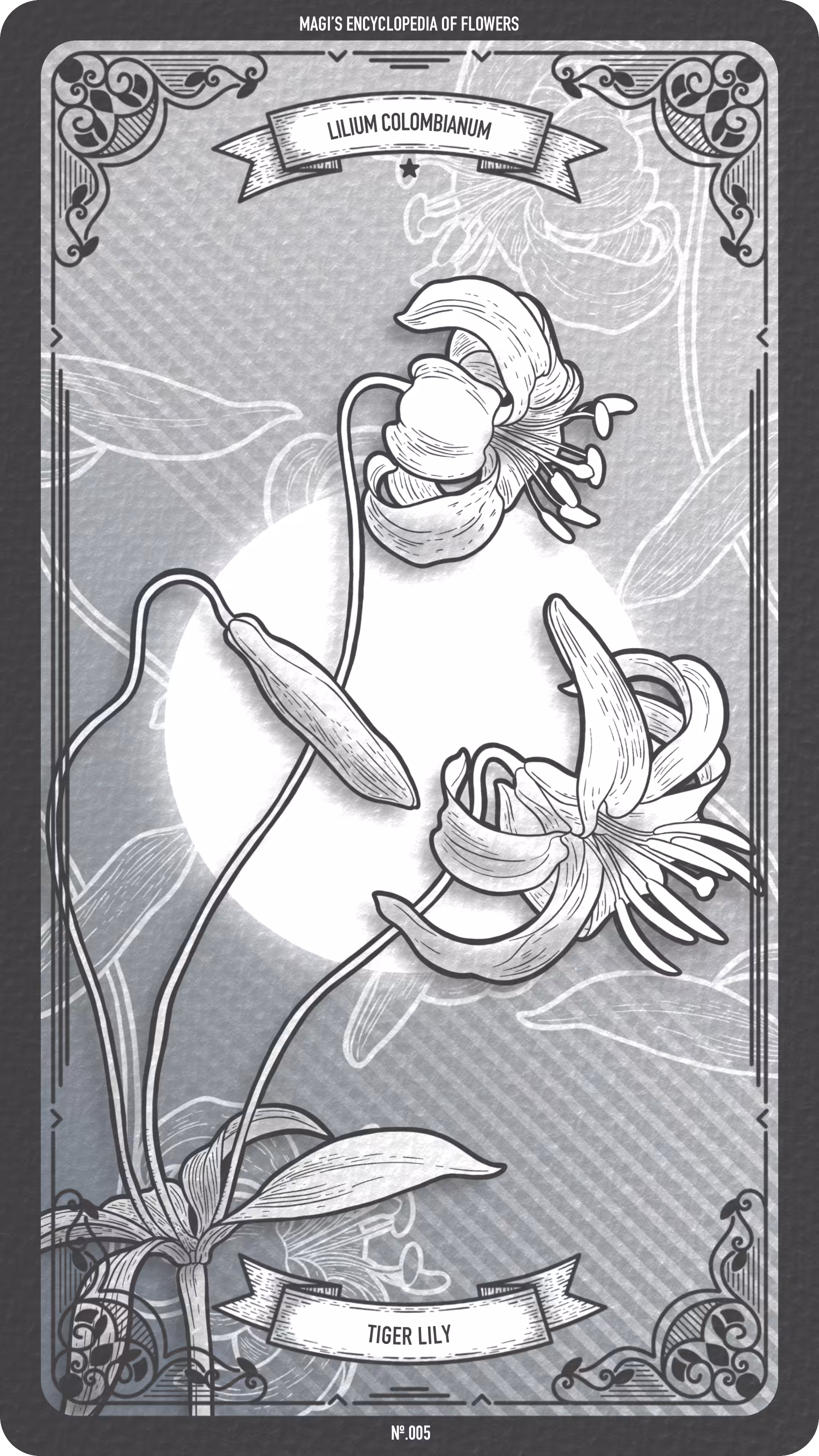 005 Tiger Lily