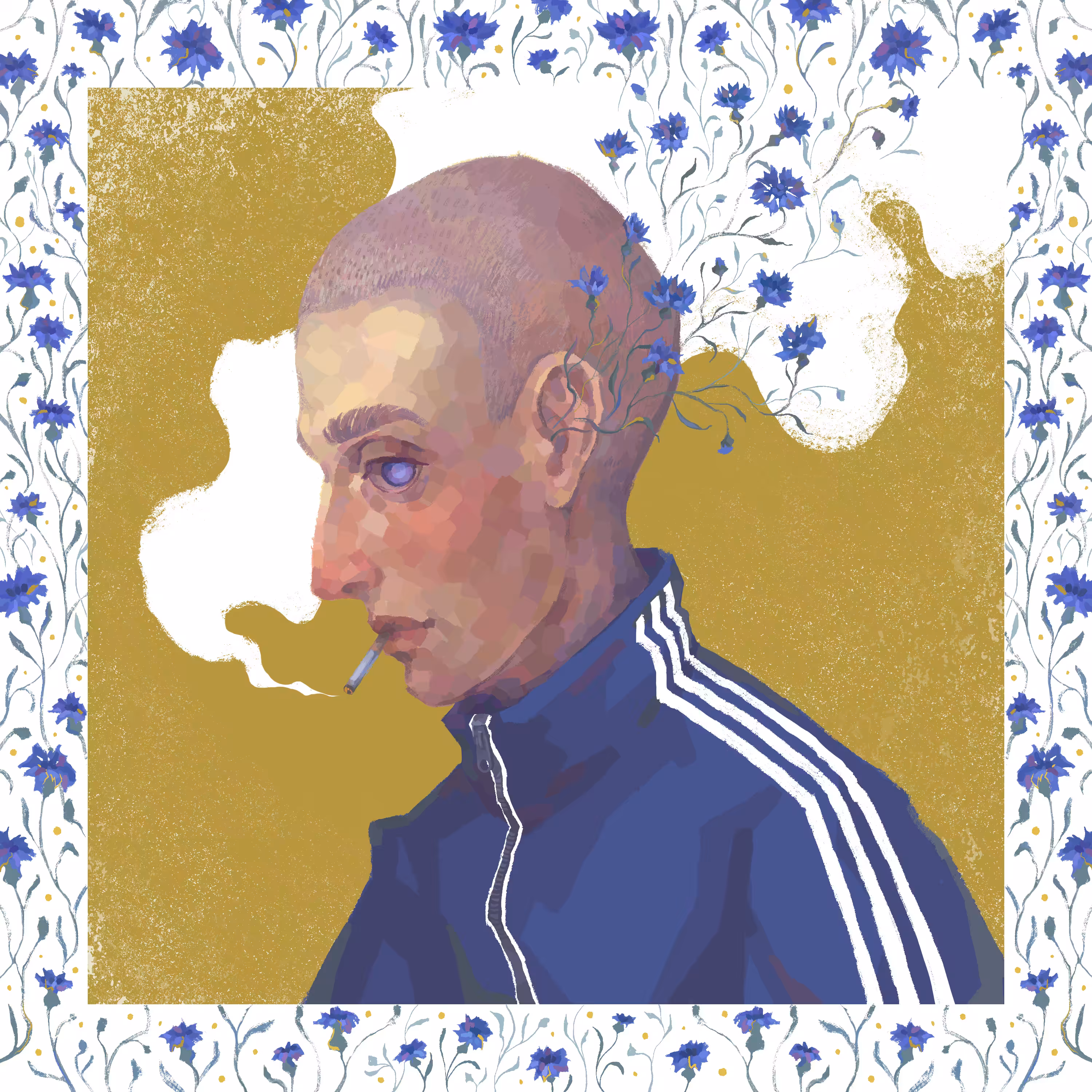 Cornflower