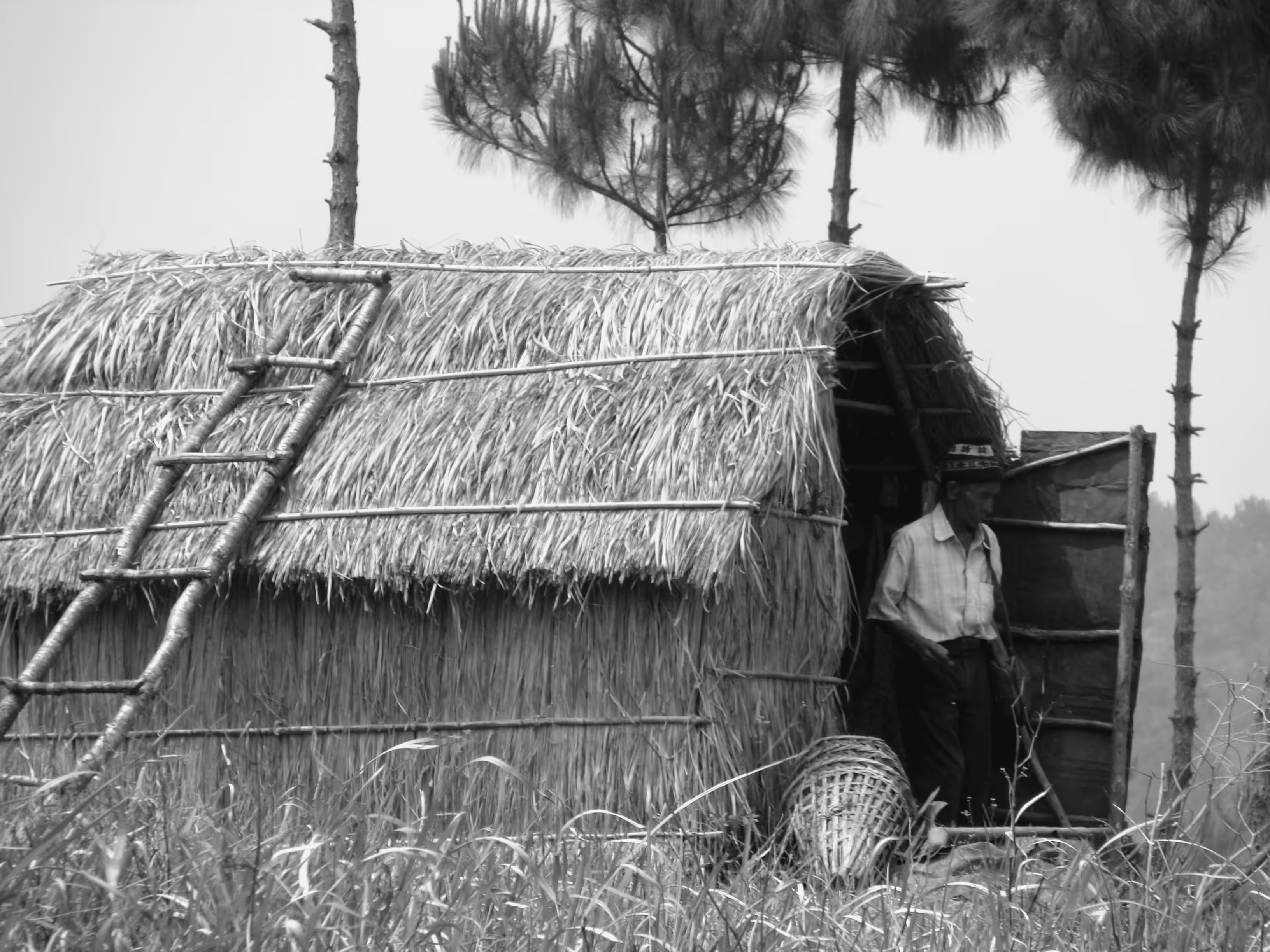 Little Home