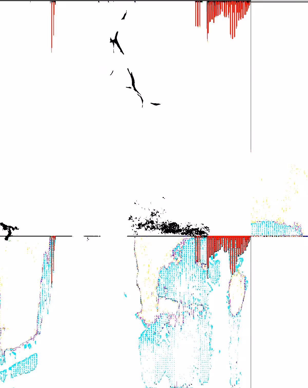 XRAY