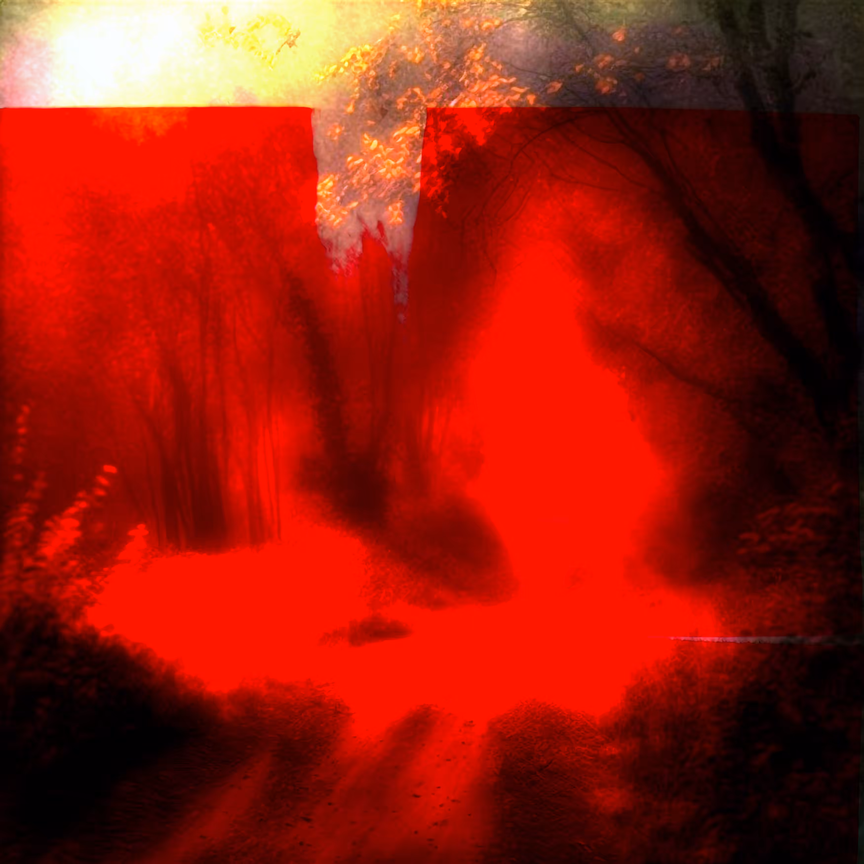 Dreamscapes: Dreamscape #215