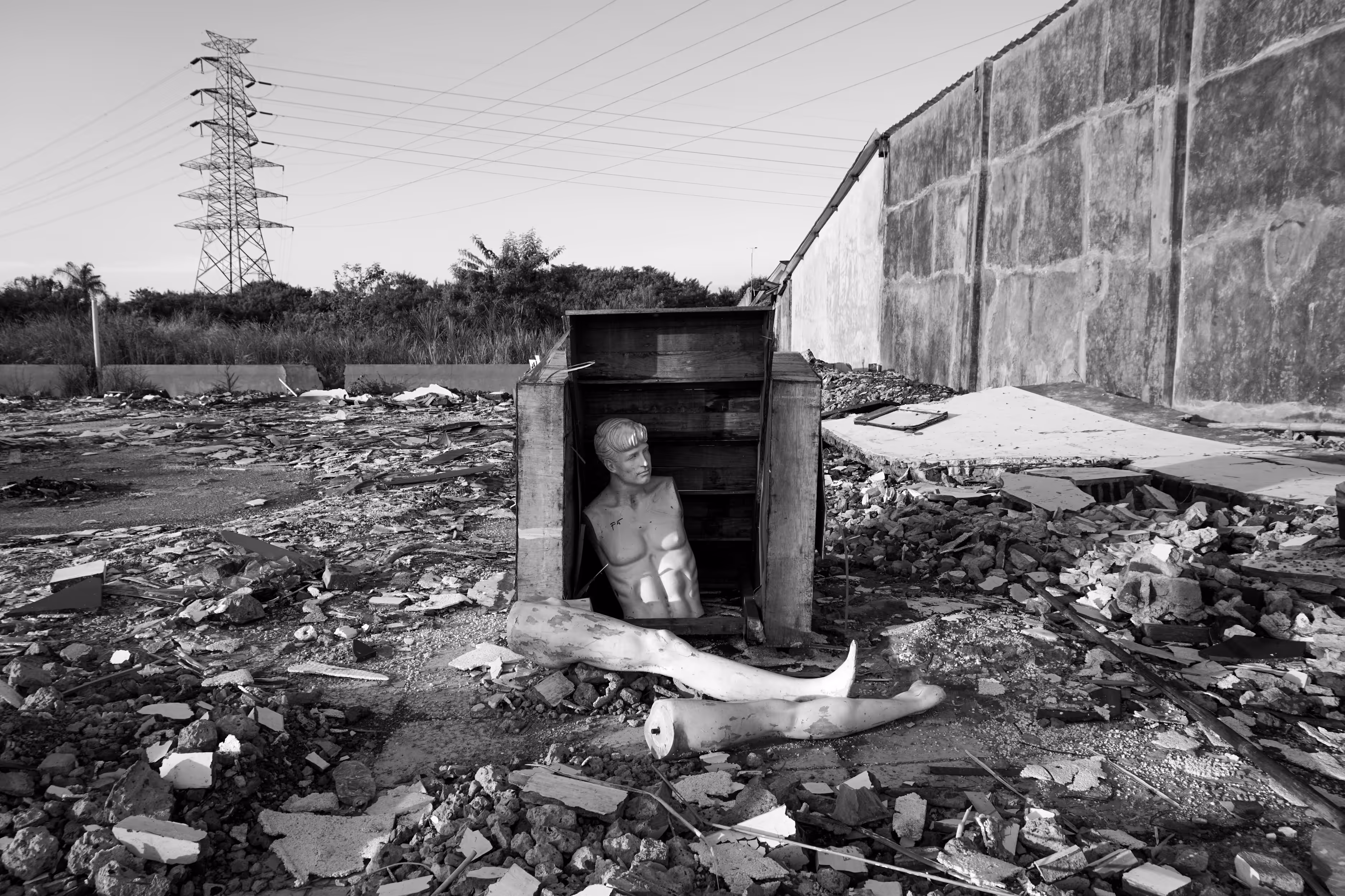 Diogenes Against the World