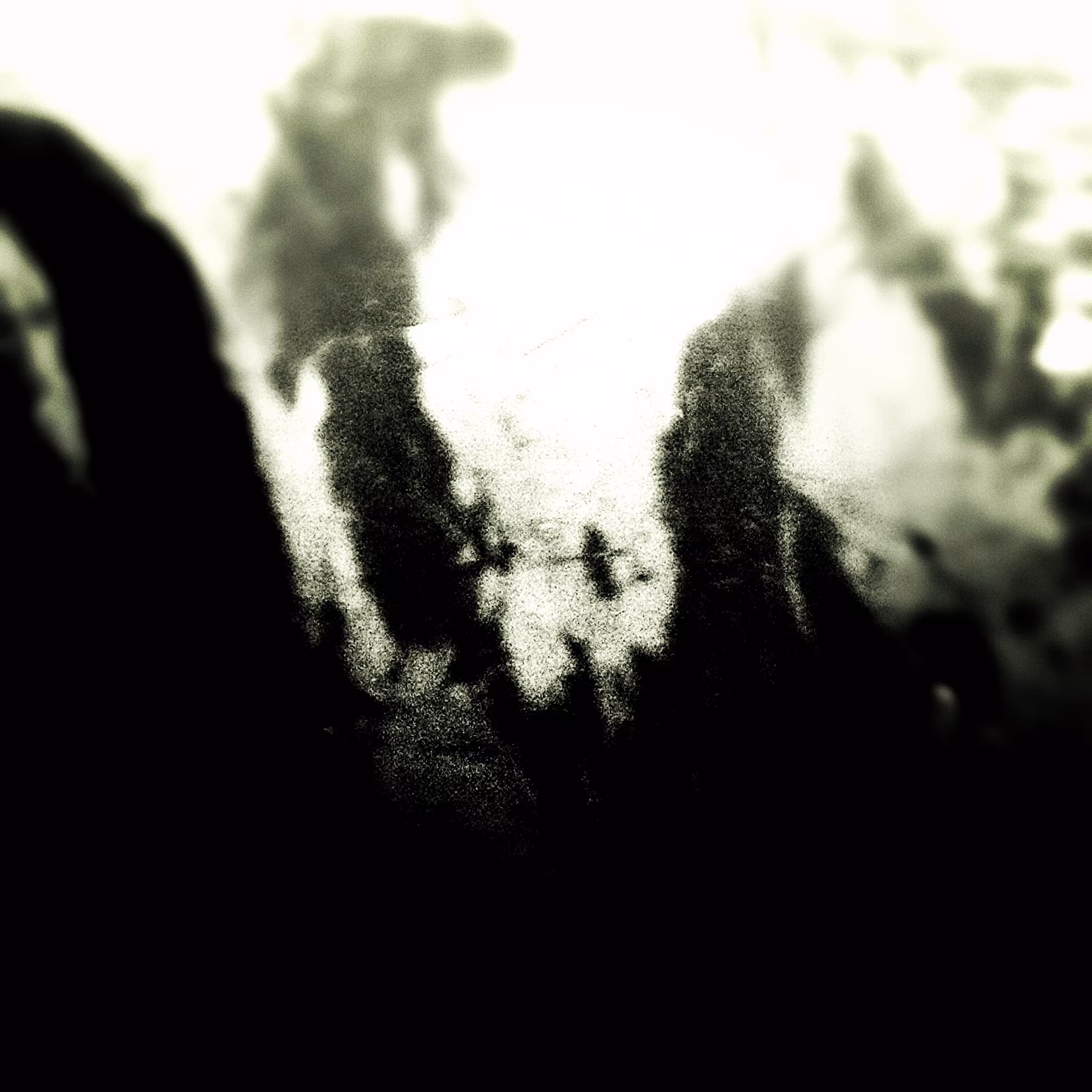 The Sea 