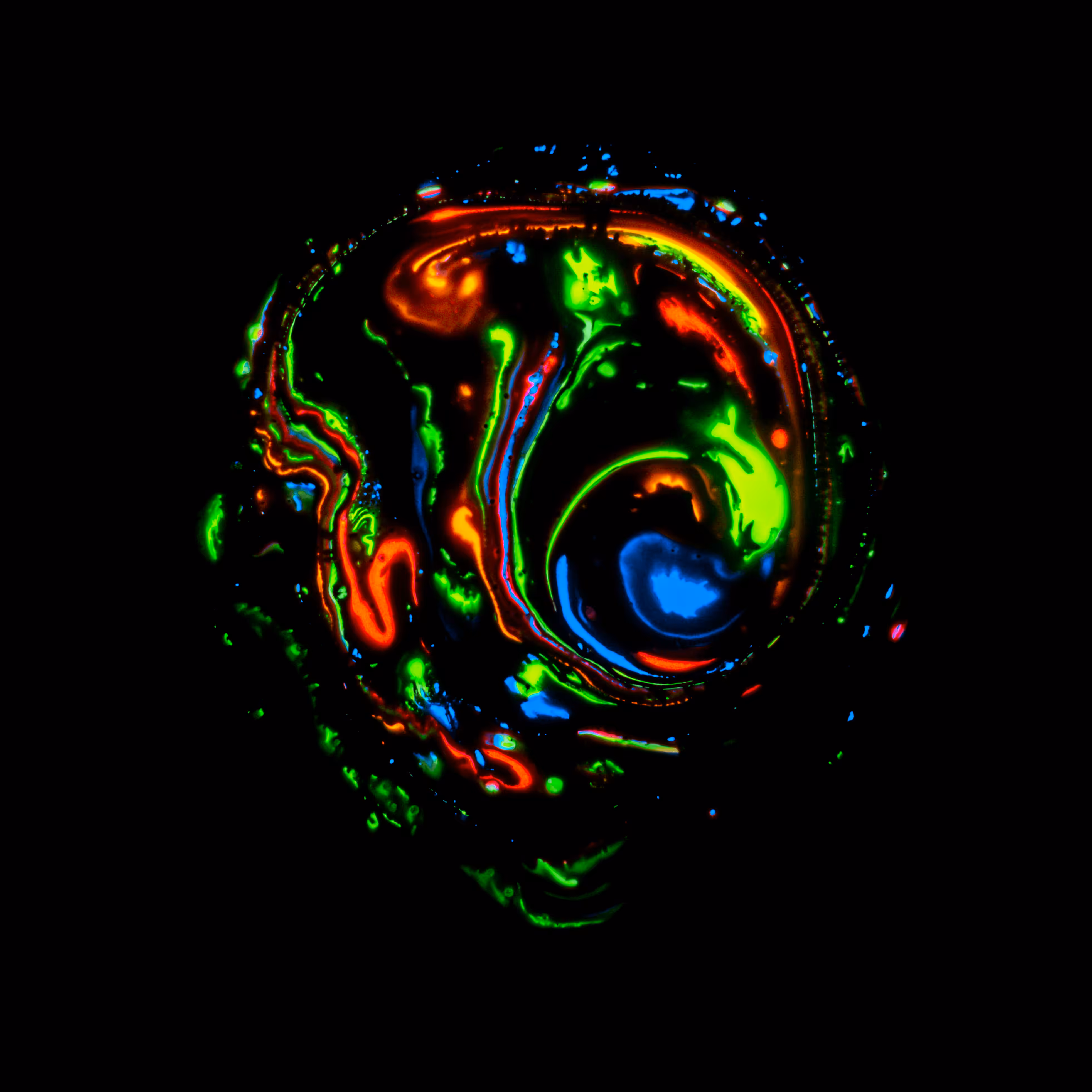 Haematopoiesis #275