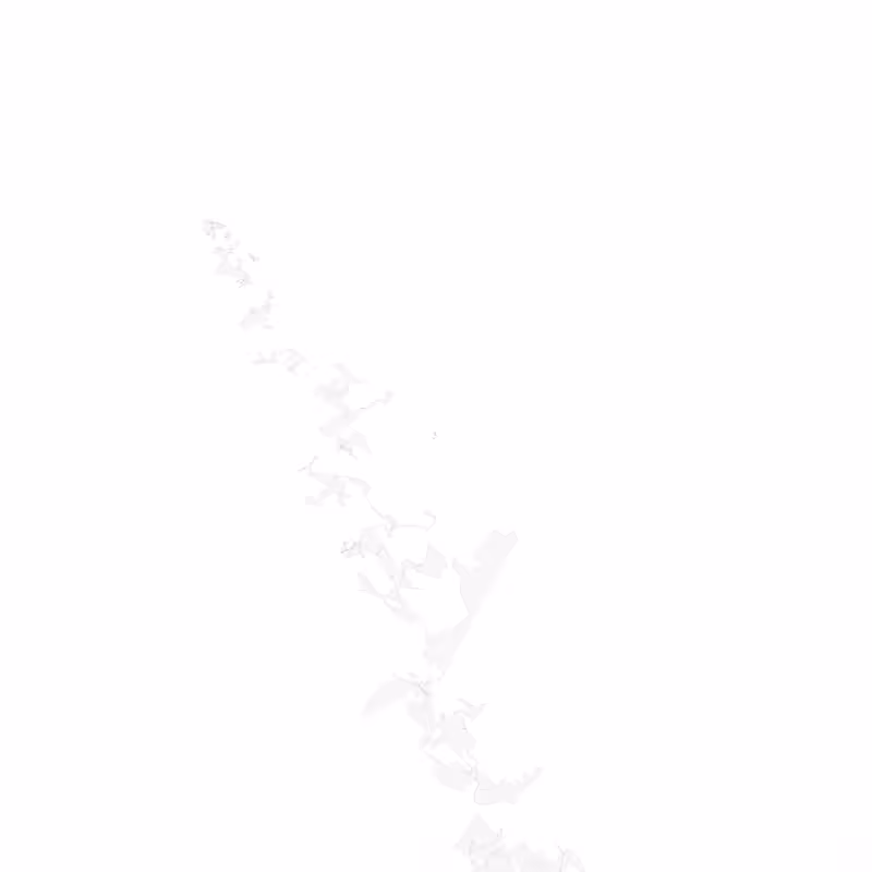 brownian burrows #10