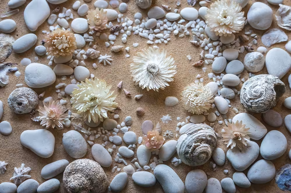 Rockpool in the Sand.
