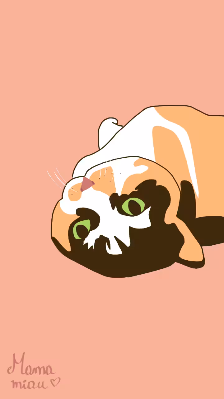 the favorite cat of my greatest love