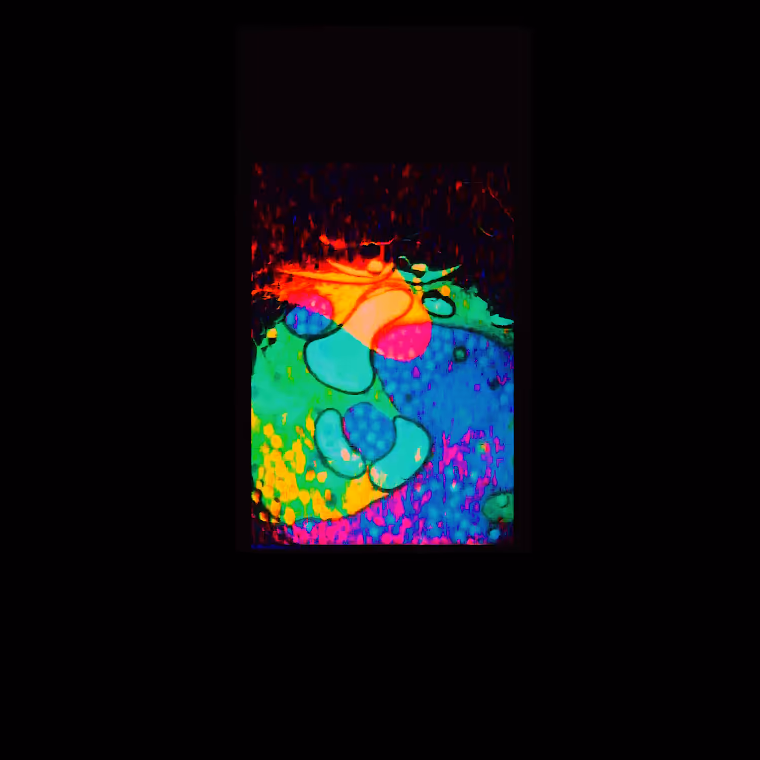Sun 1