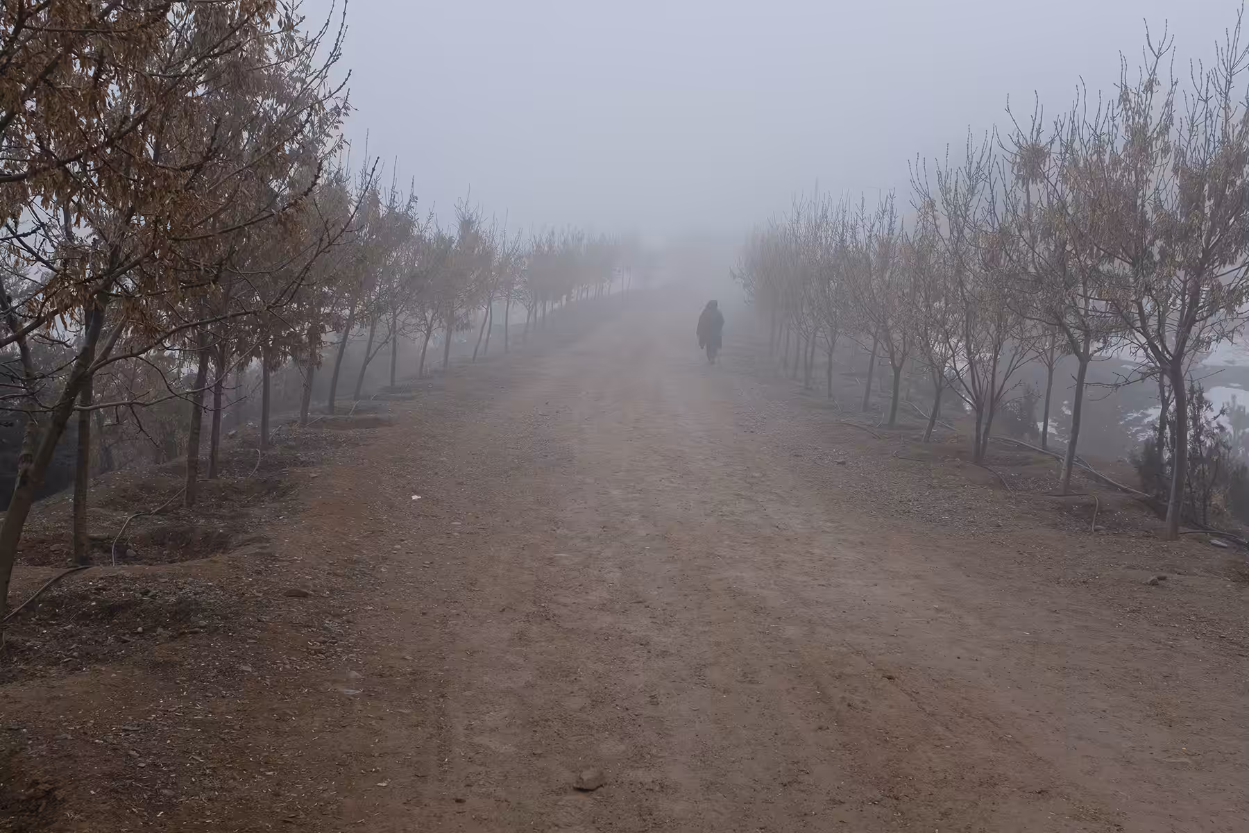foggy day #2