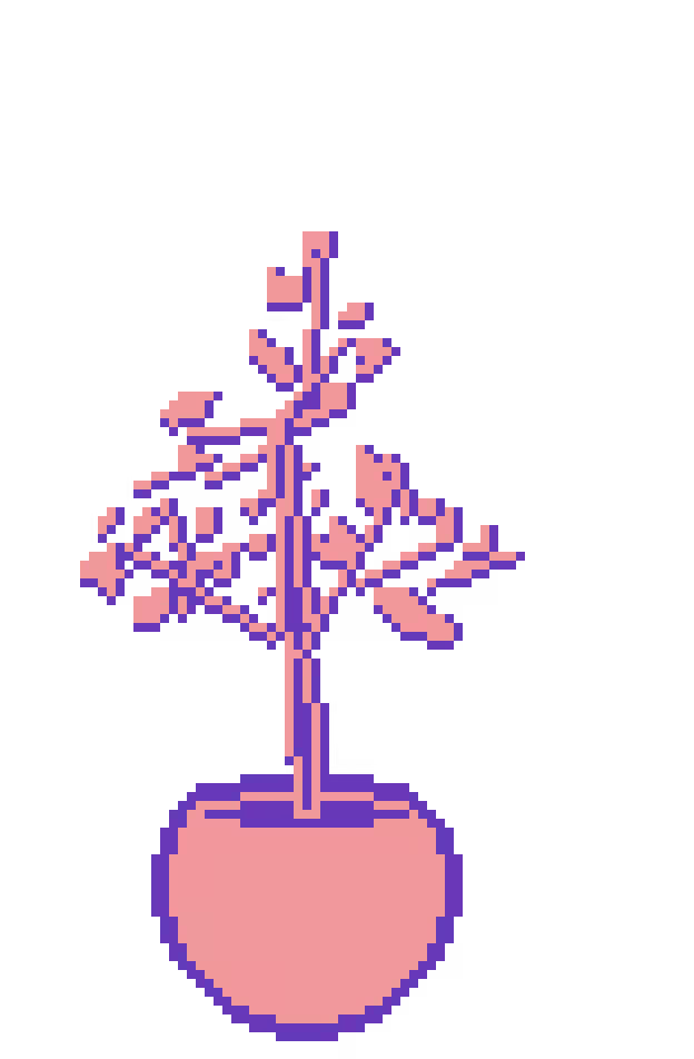 Jaboticaba Vase