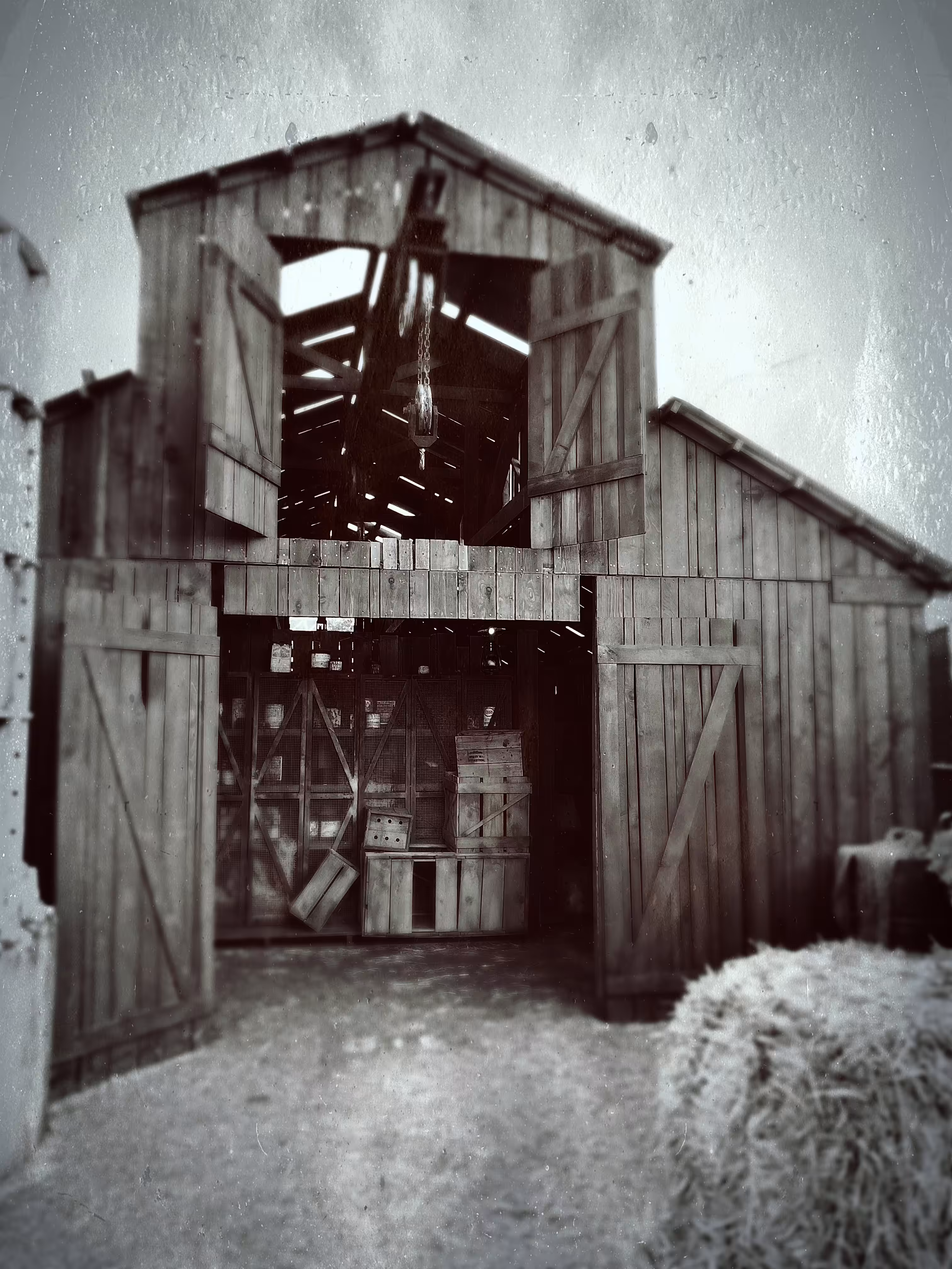 ⛓Barn🪚