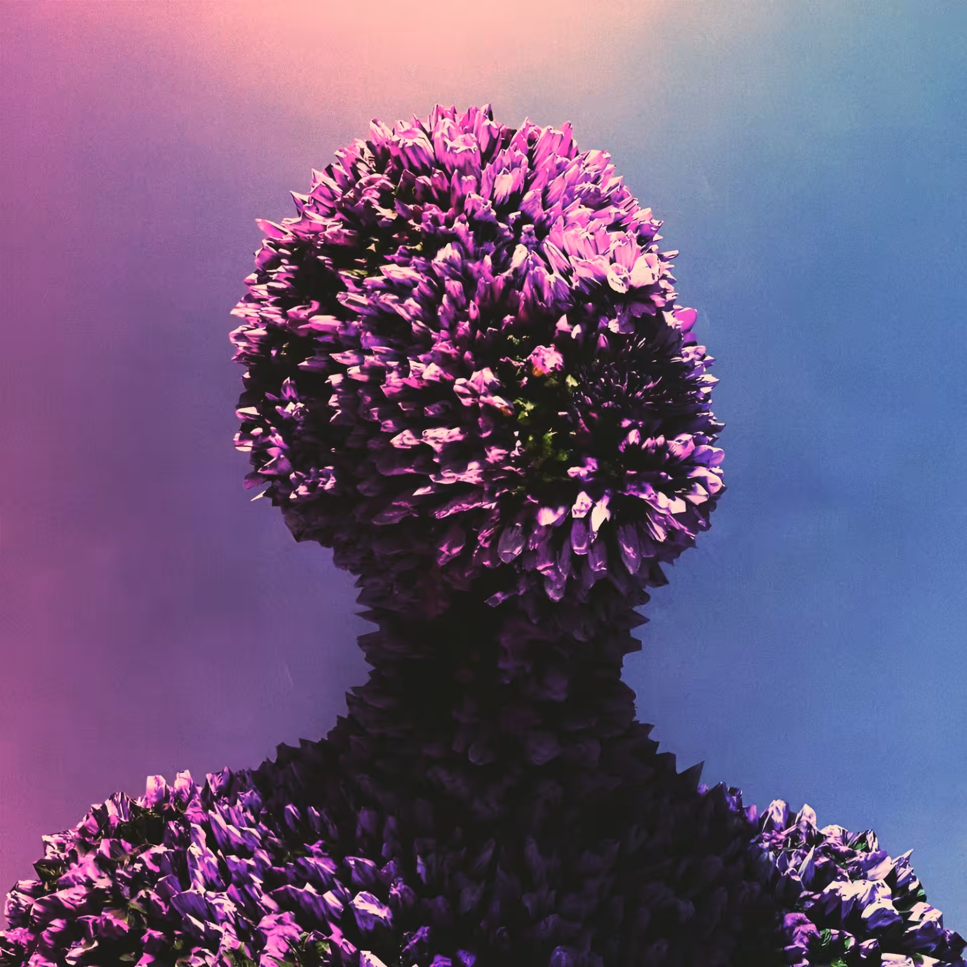 Blossom