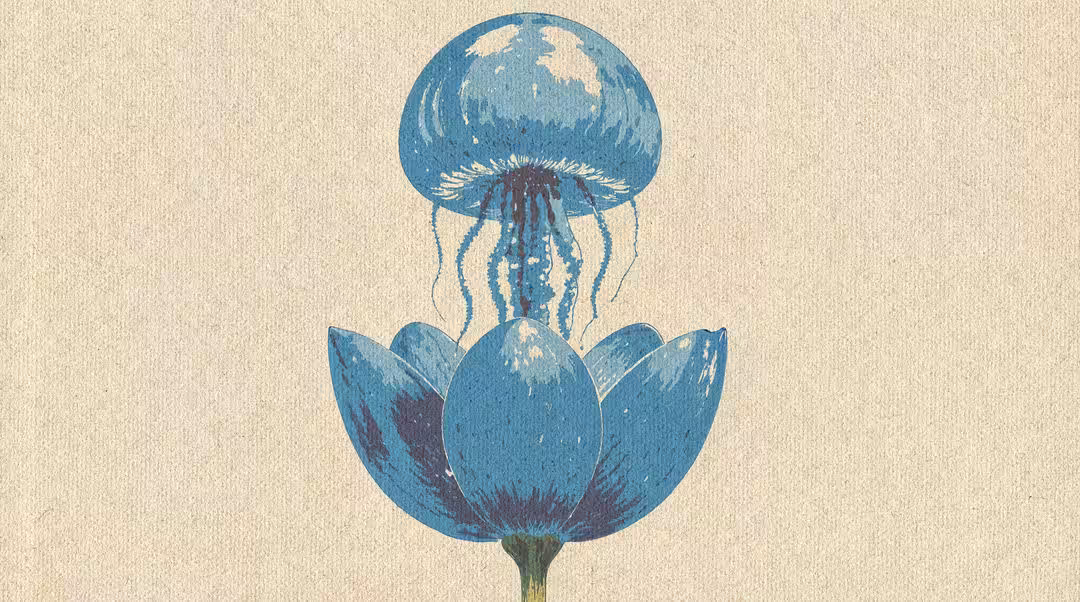 Birth - ASIW #7