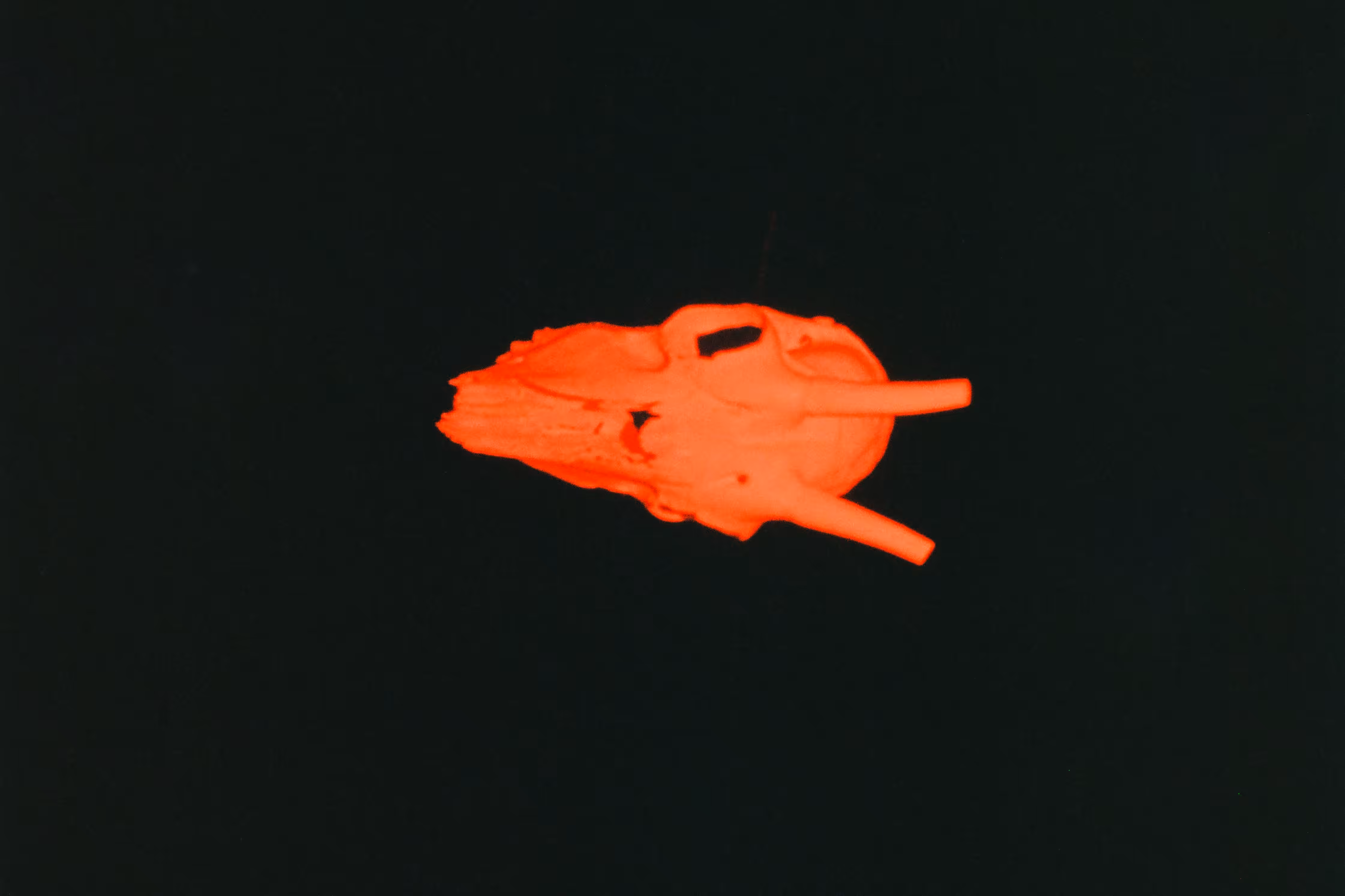 Bones - Vanishing Of The Genuine: Red Skull Rising (Real)