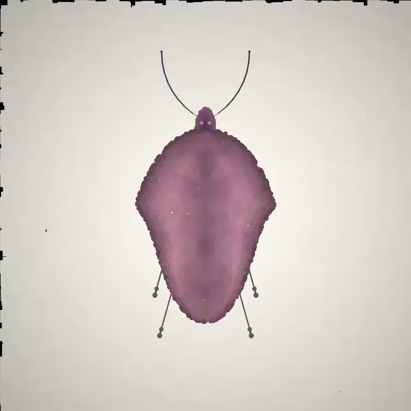 Beetle Sketches #30
