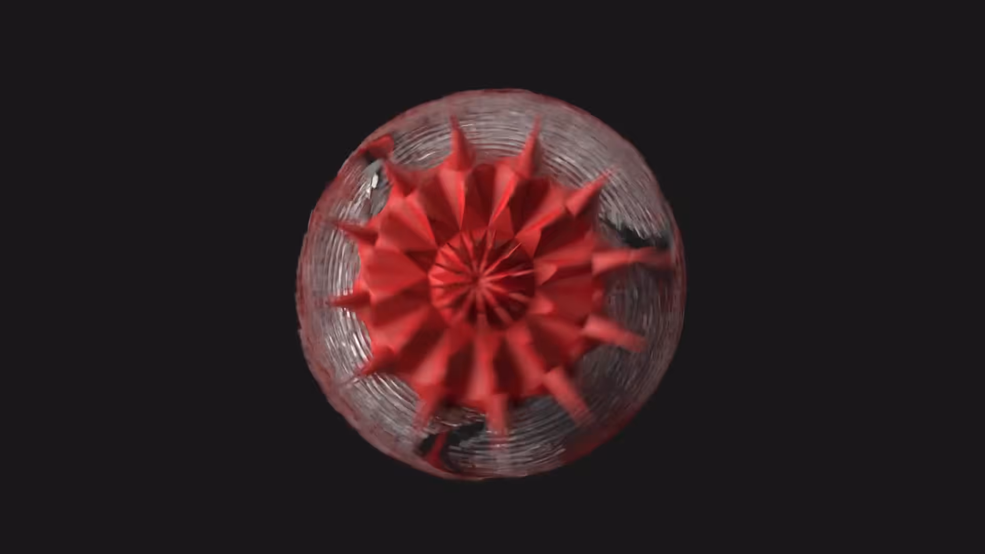 Sea Urchin
