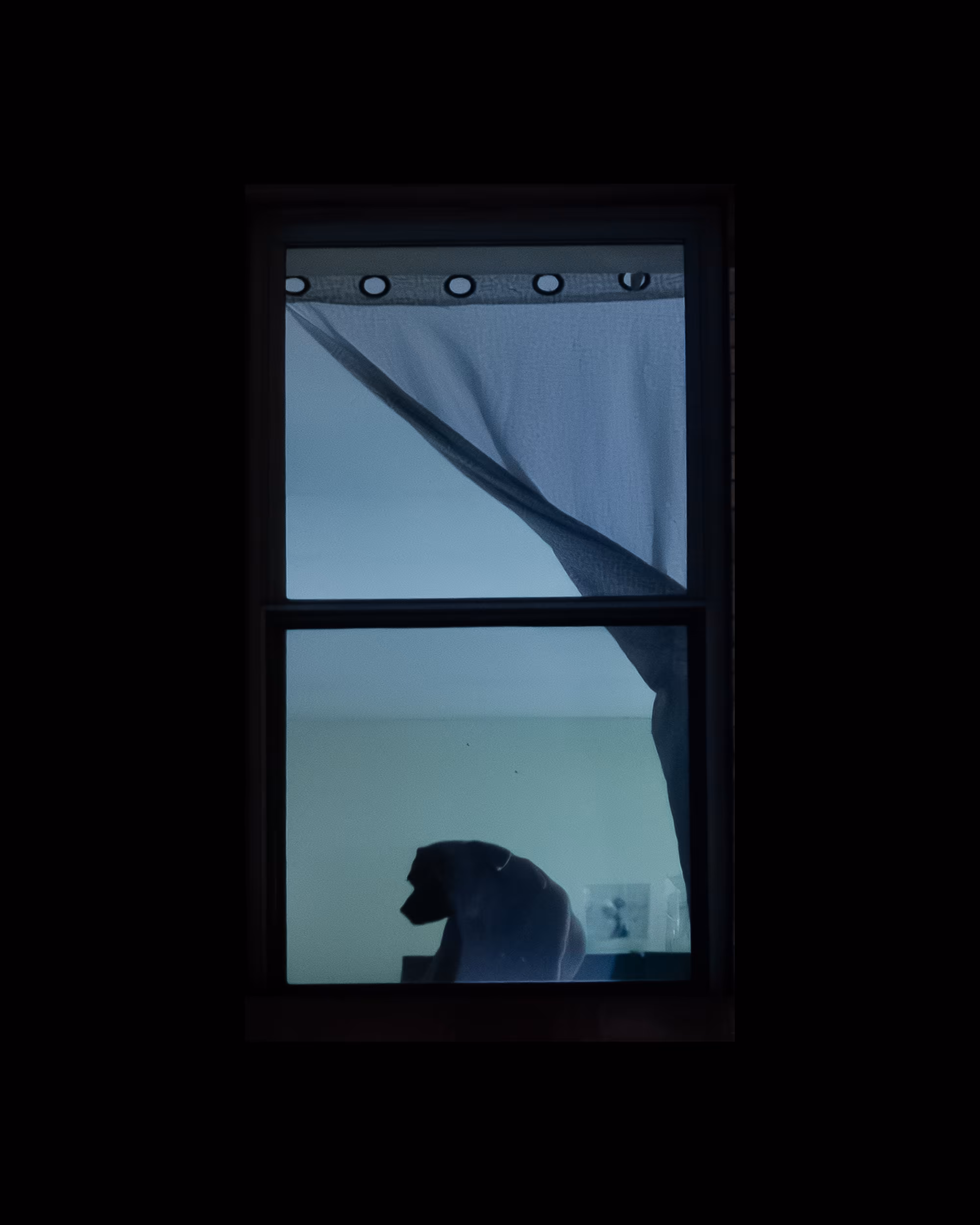 WINDOW 754