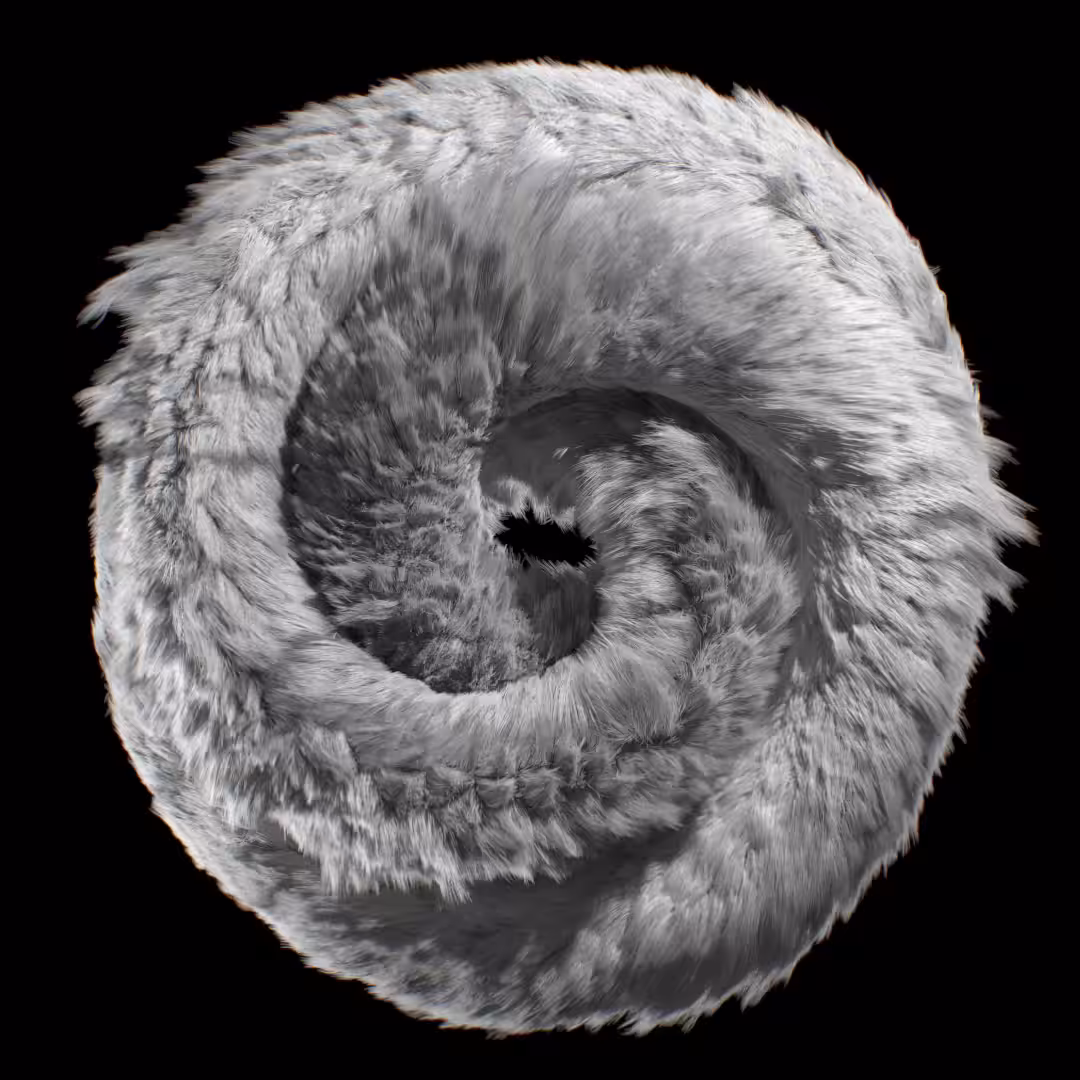 Möbius Rings