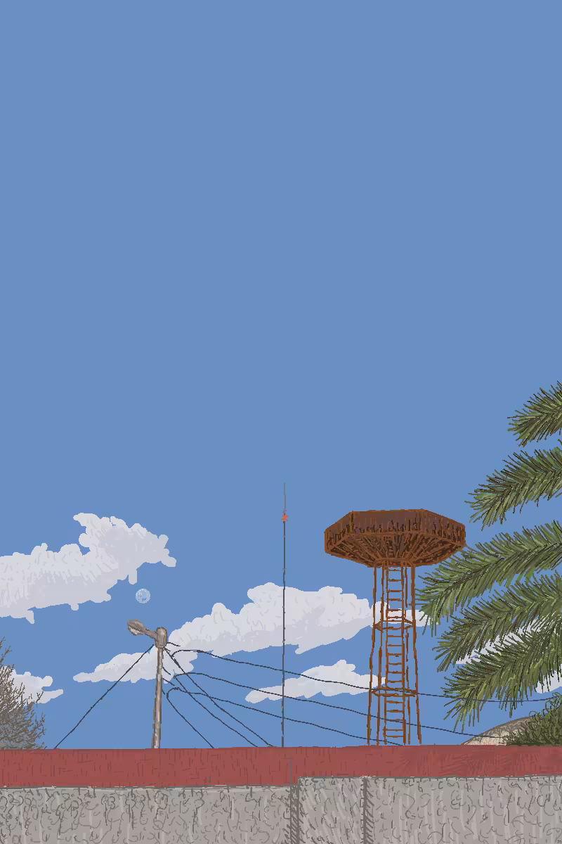 #3 backyard