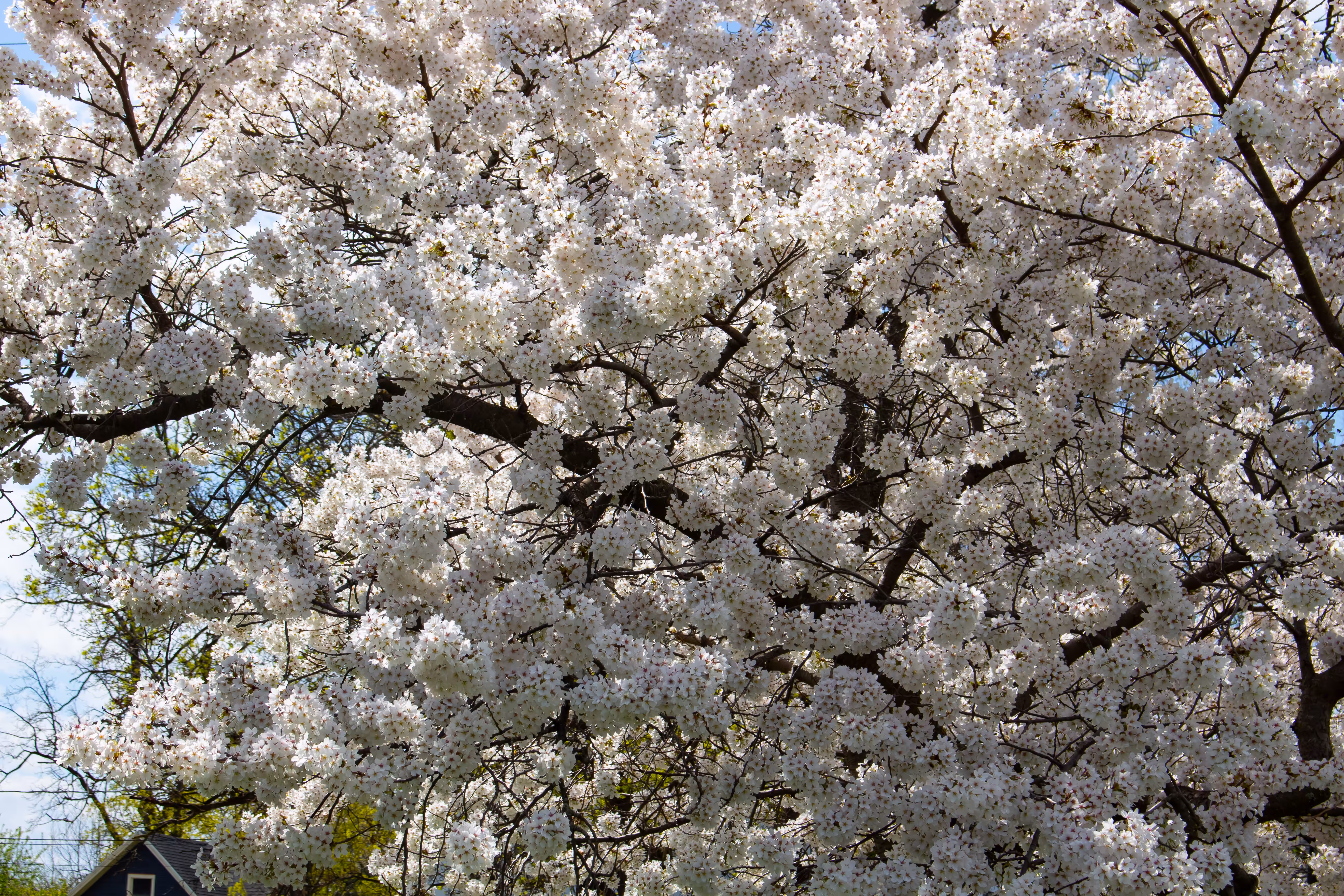 Spring Colors 2
