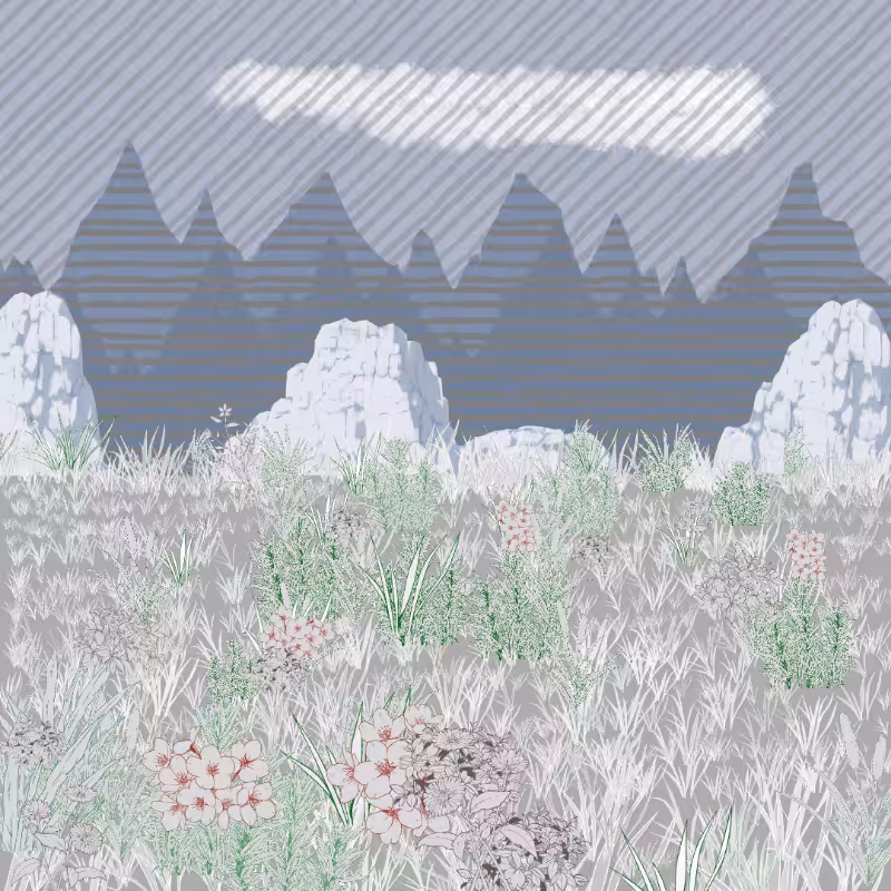 Mountain Meadows #69