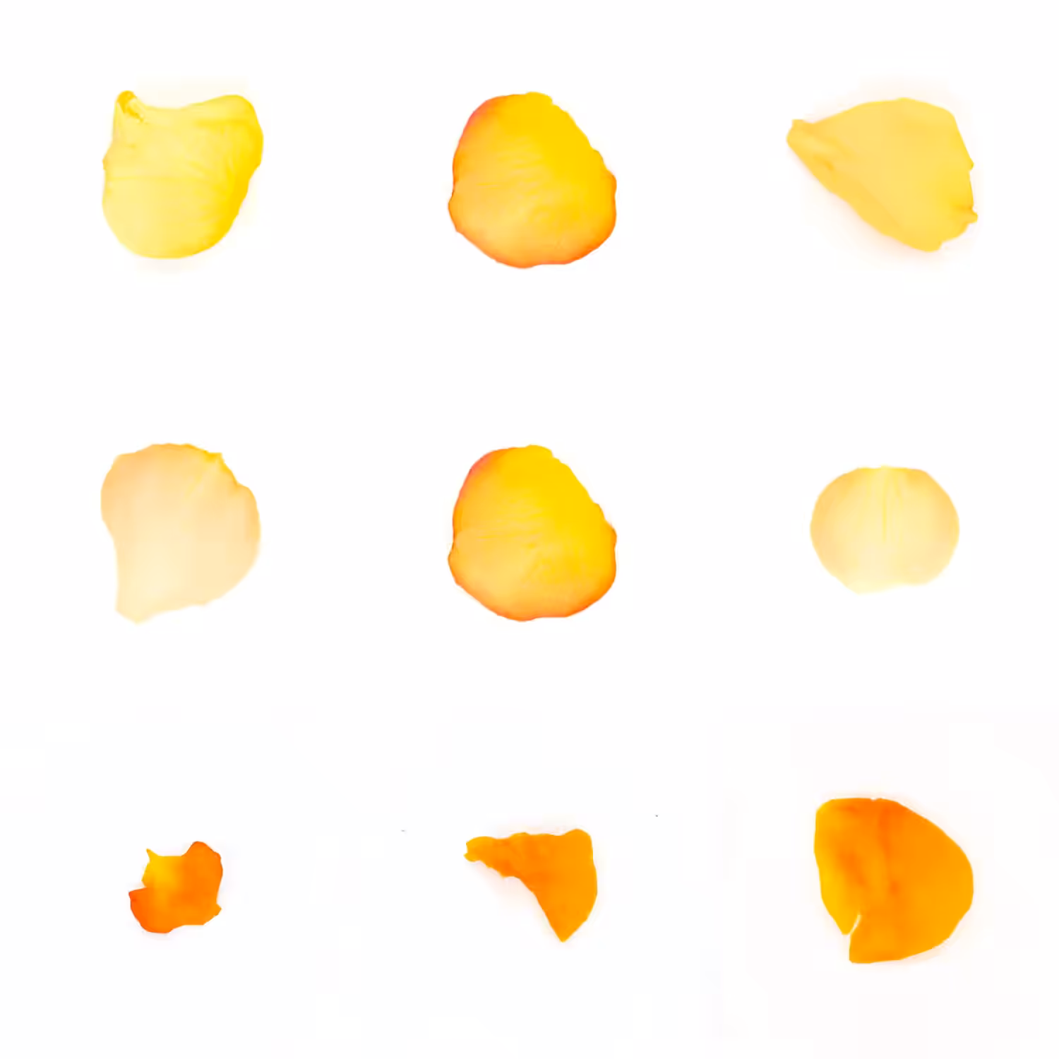 Infinite Petals 3x3#20608