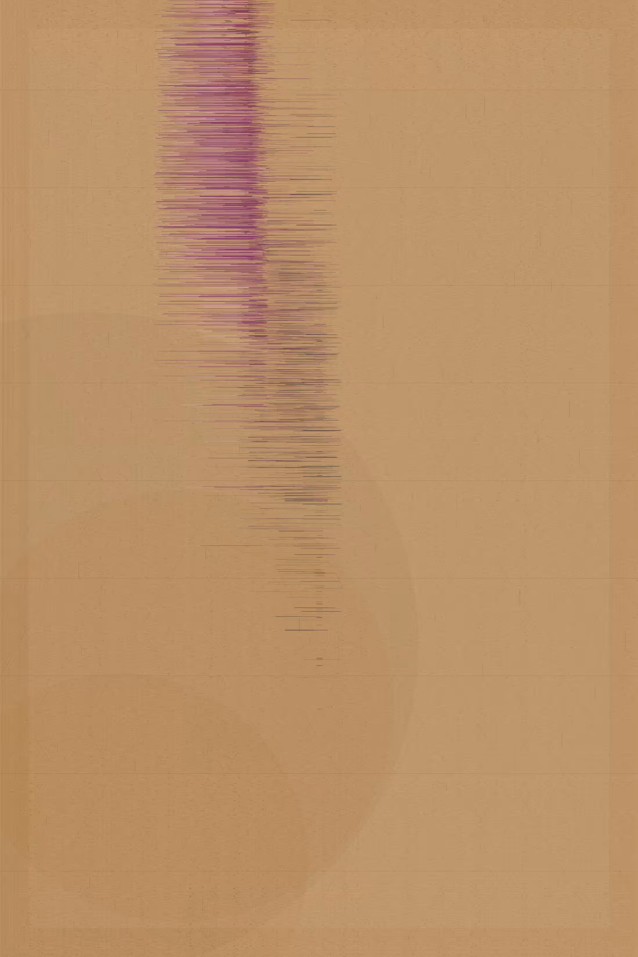 Apertum #220
