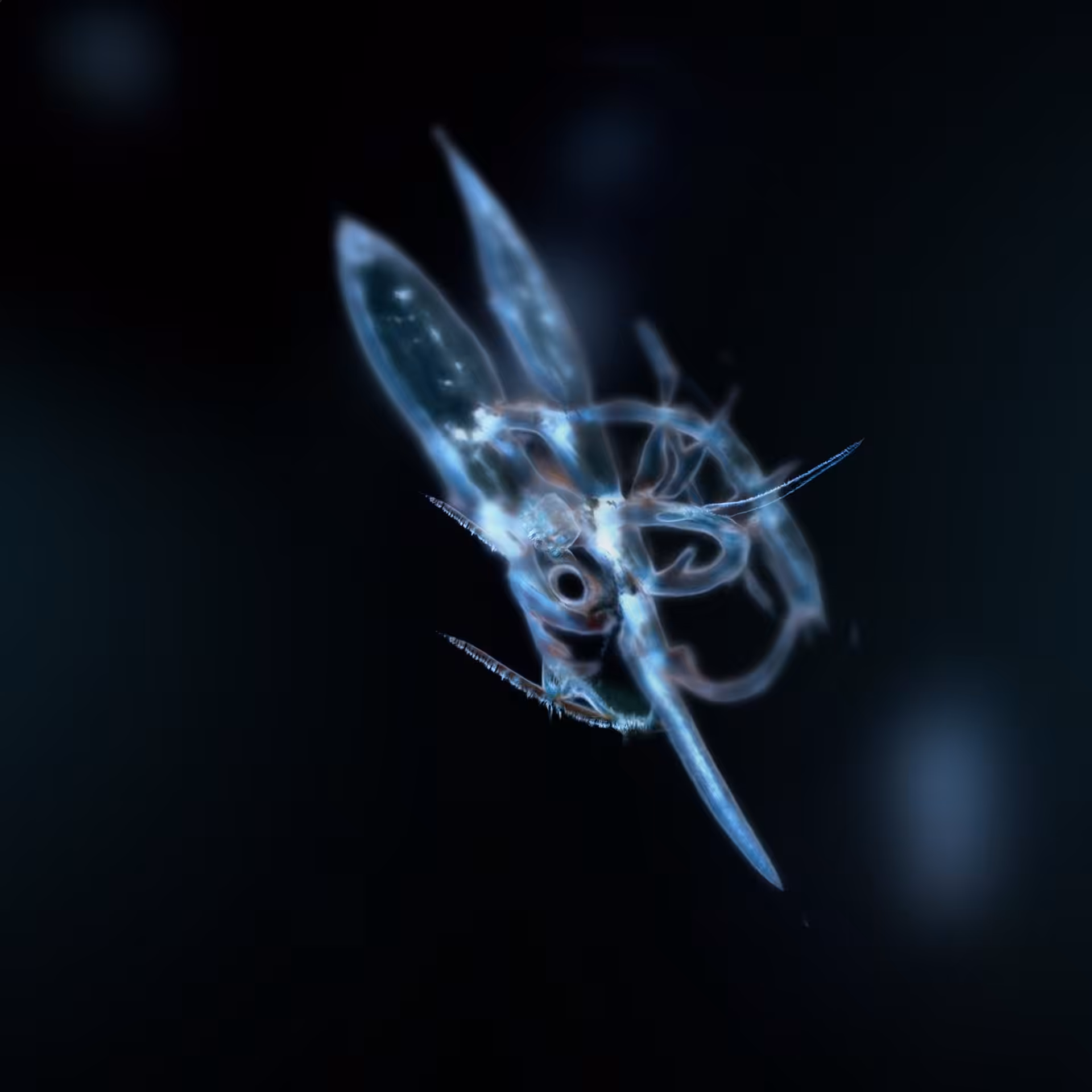 Sperma 13