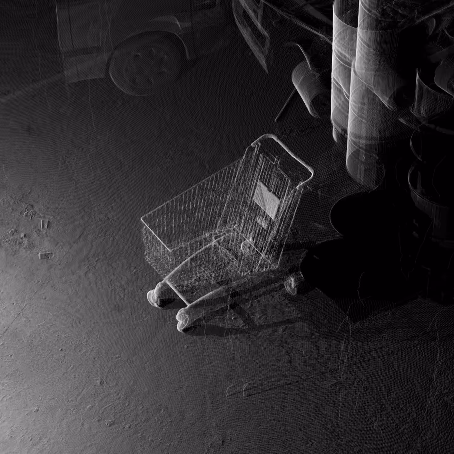 Empty Shopping Cart