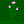 Thorns of Anxiety