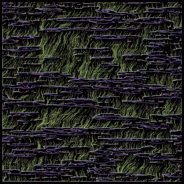 magical swamp #28