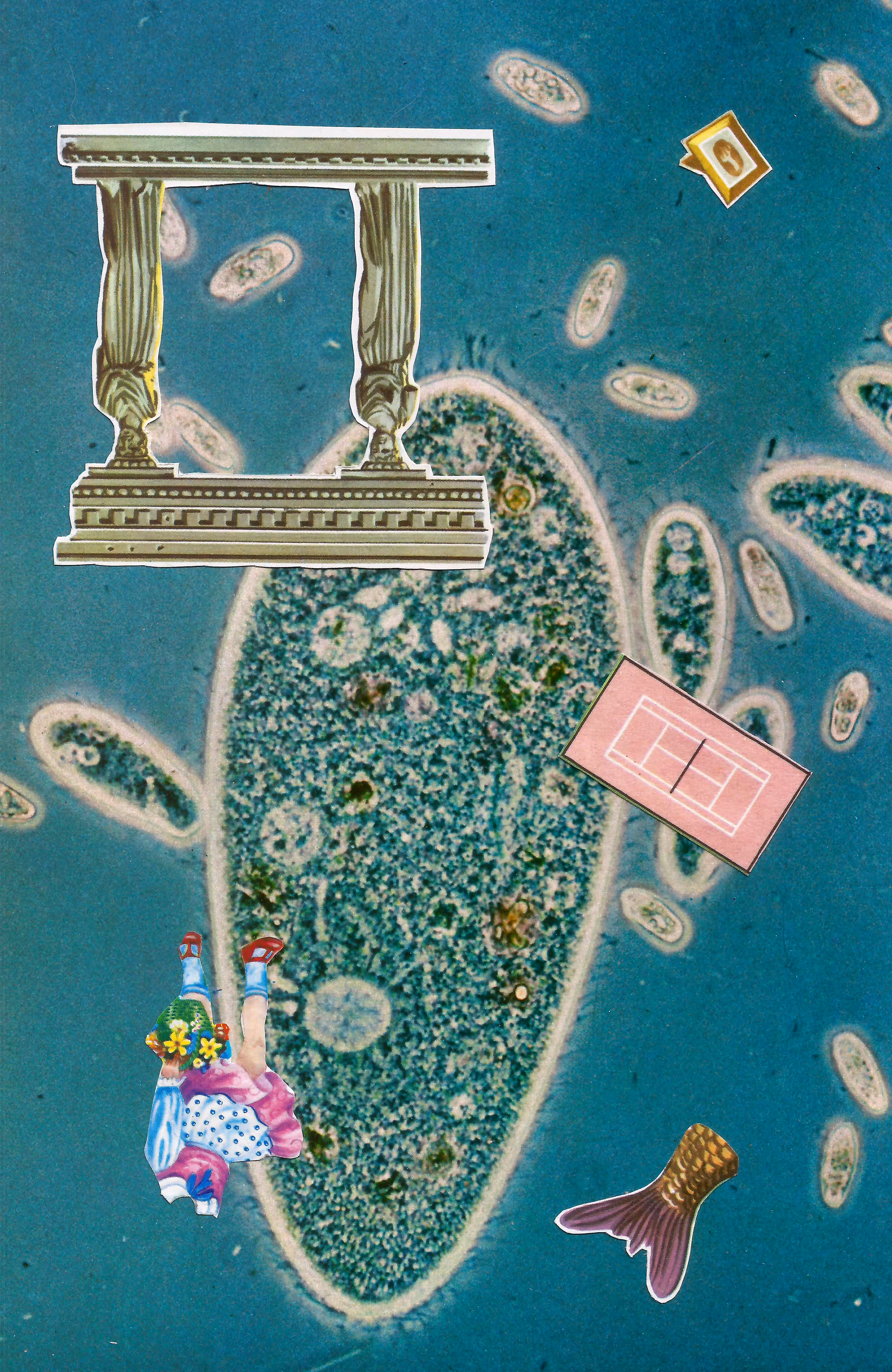 Paseo La Victoria