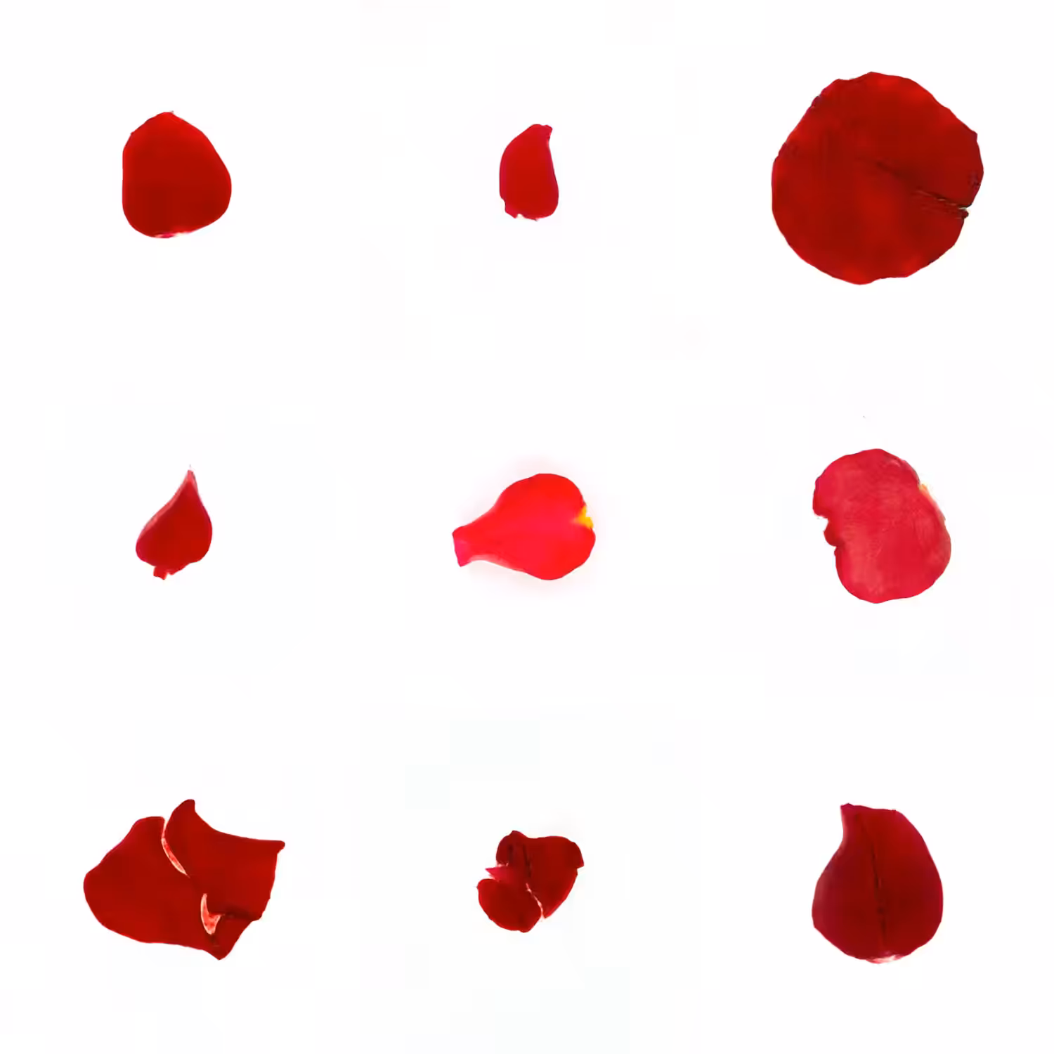 Infinite Petals 3x3#1837