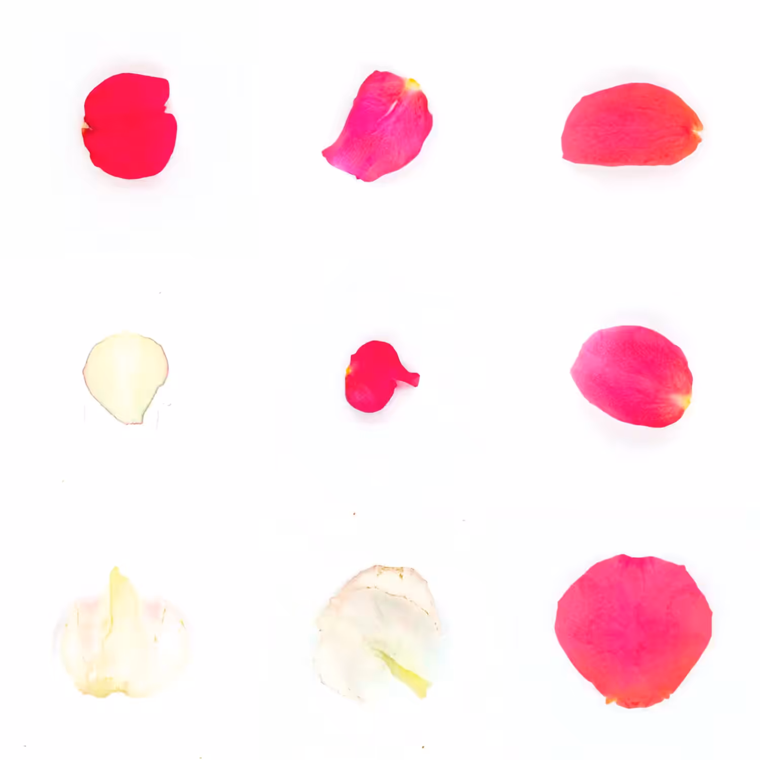 Infinite Petals 3x3#3665