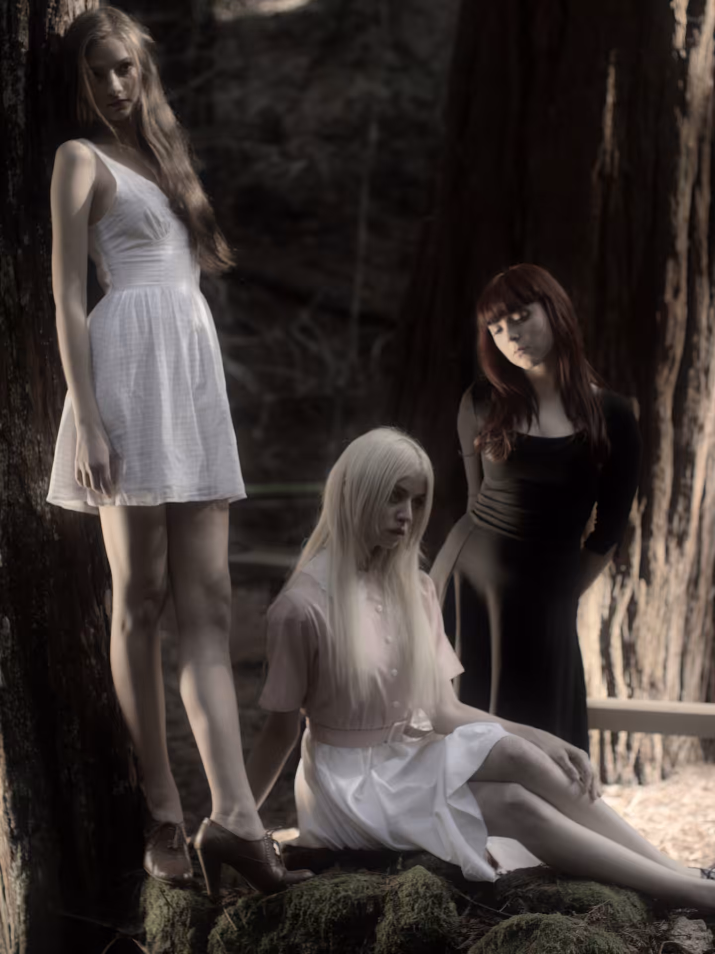 Allison Harvard ‘Insensate’ Alternate Poster