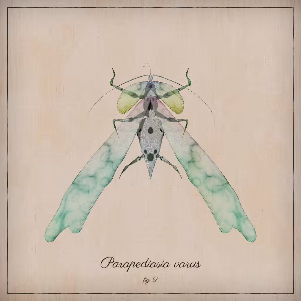 ProcGen Entomology #333