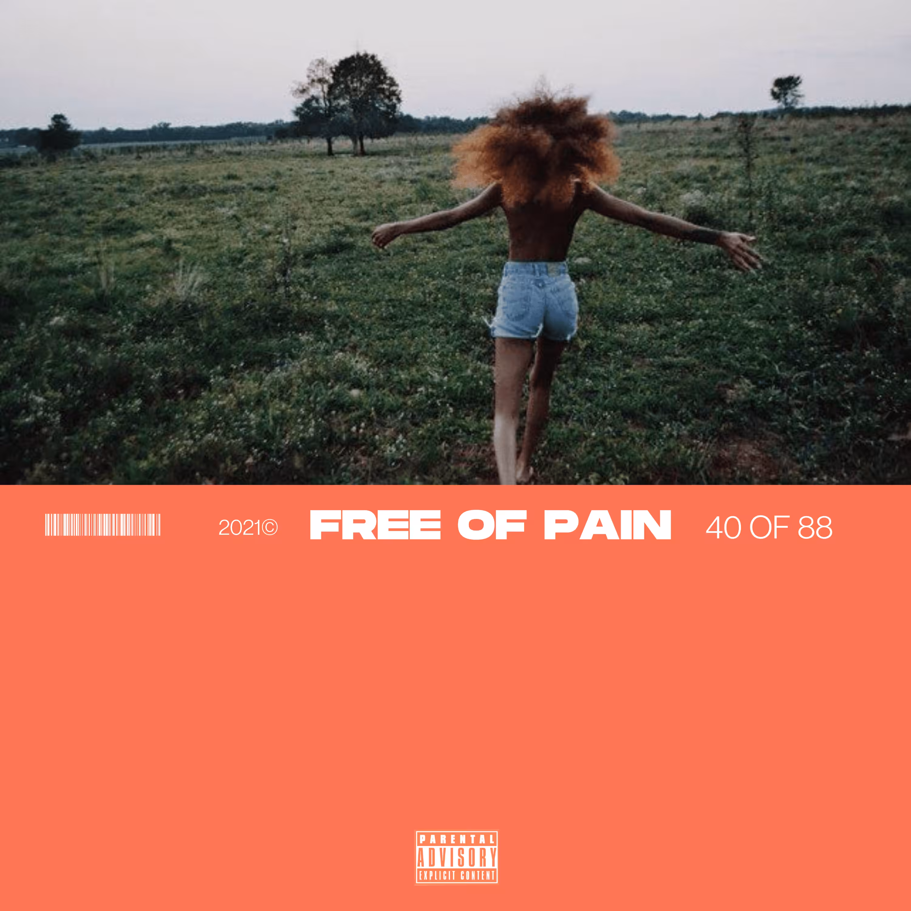 FREE OF PAIN | 40 OF 88