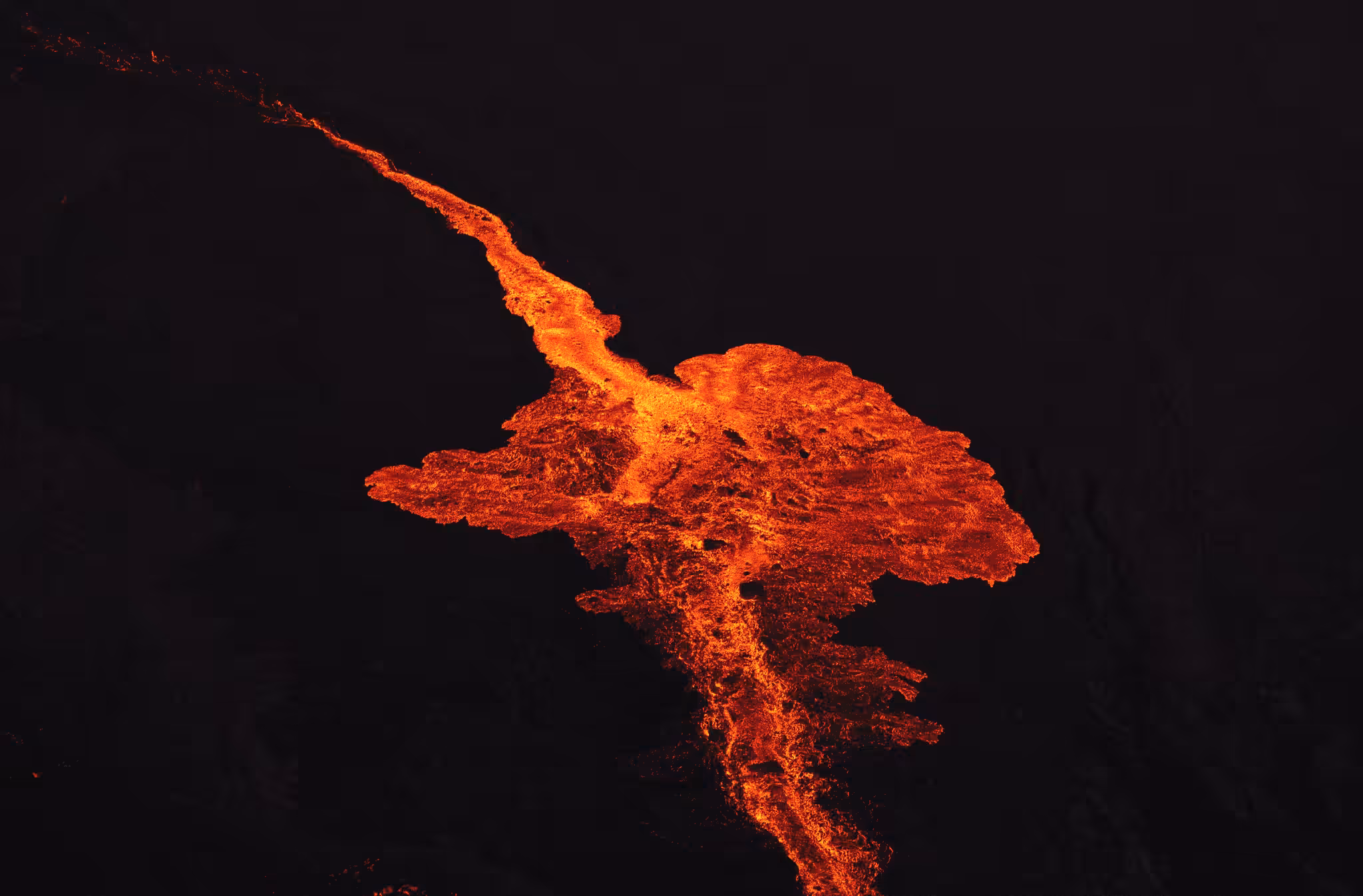 Lava Blossom