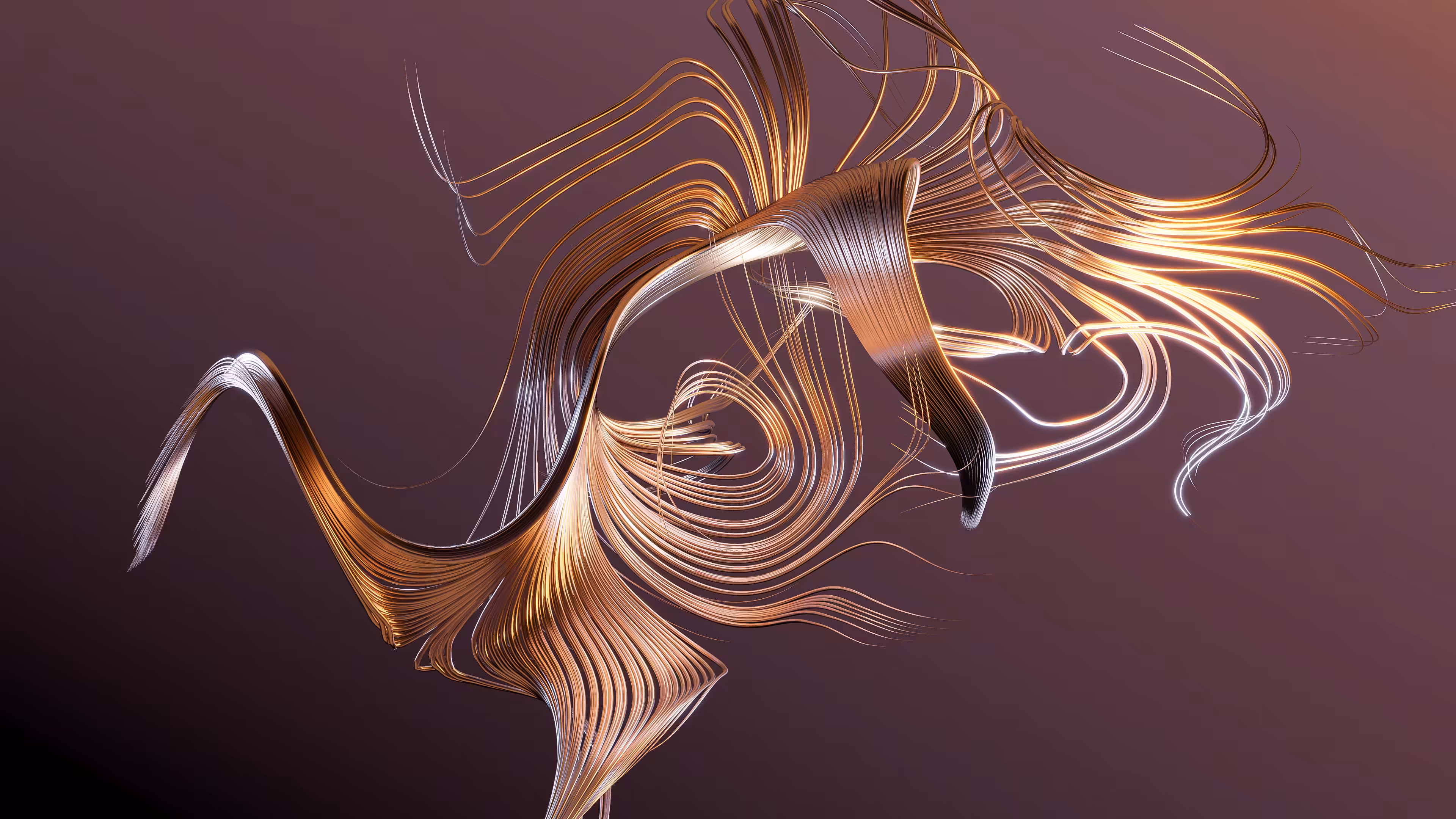 Golden Feather Curl #1