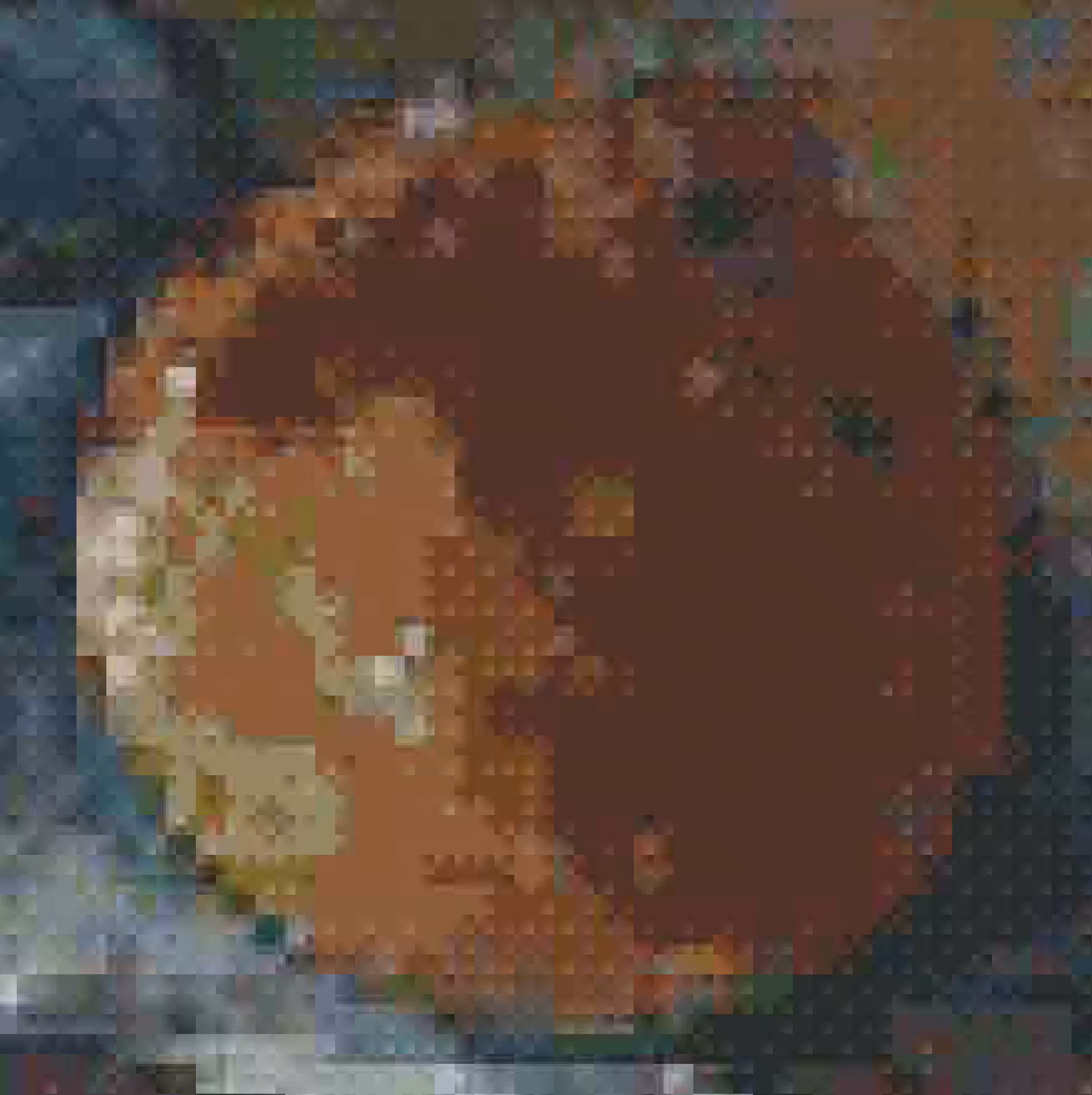Still life(orange)