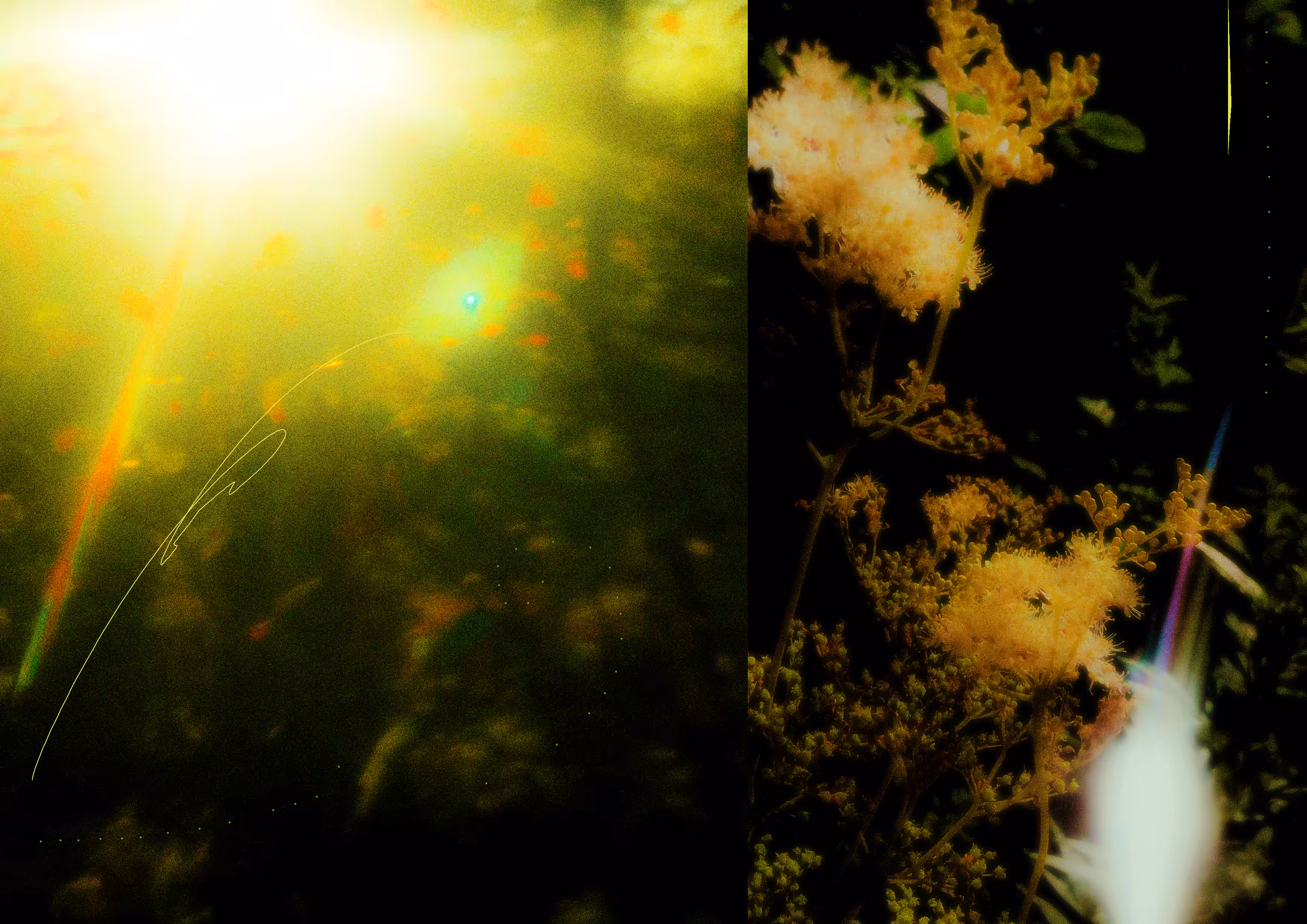 flicker