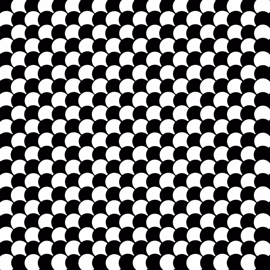 Circle Grid Animation 6