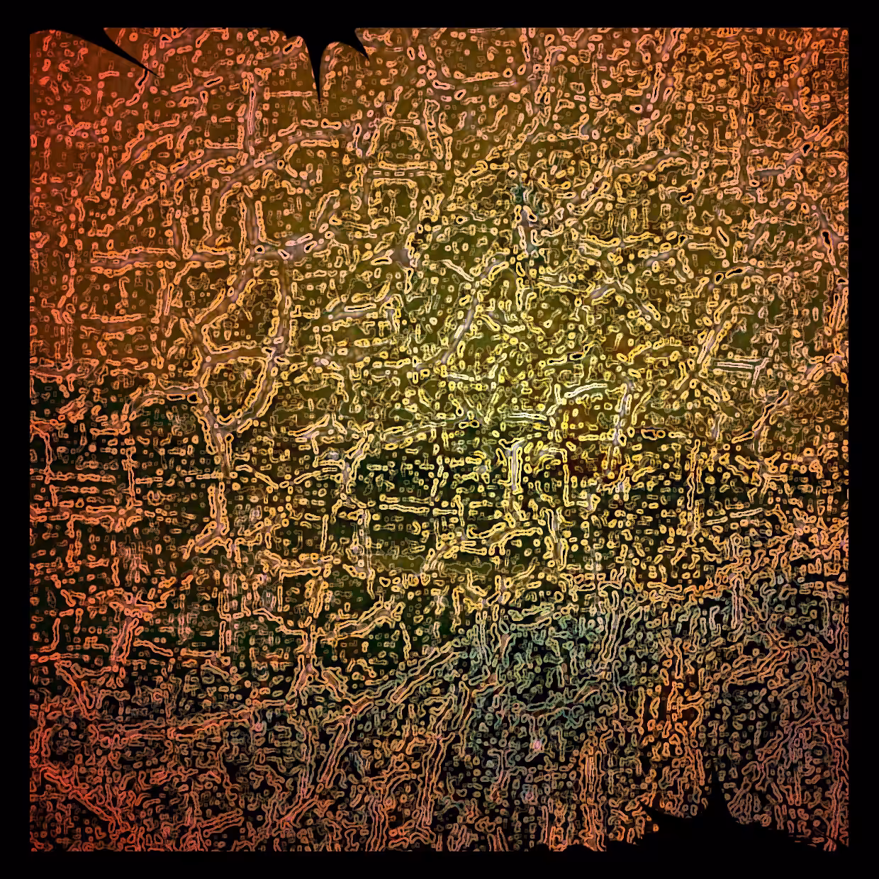 Cell 02