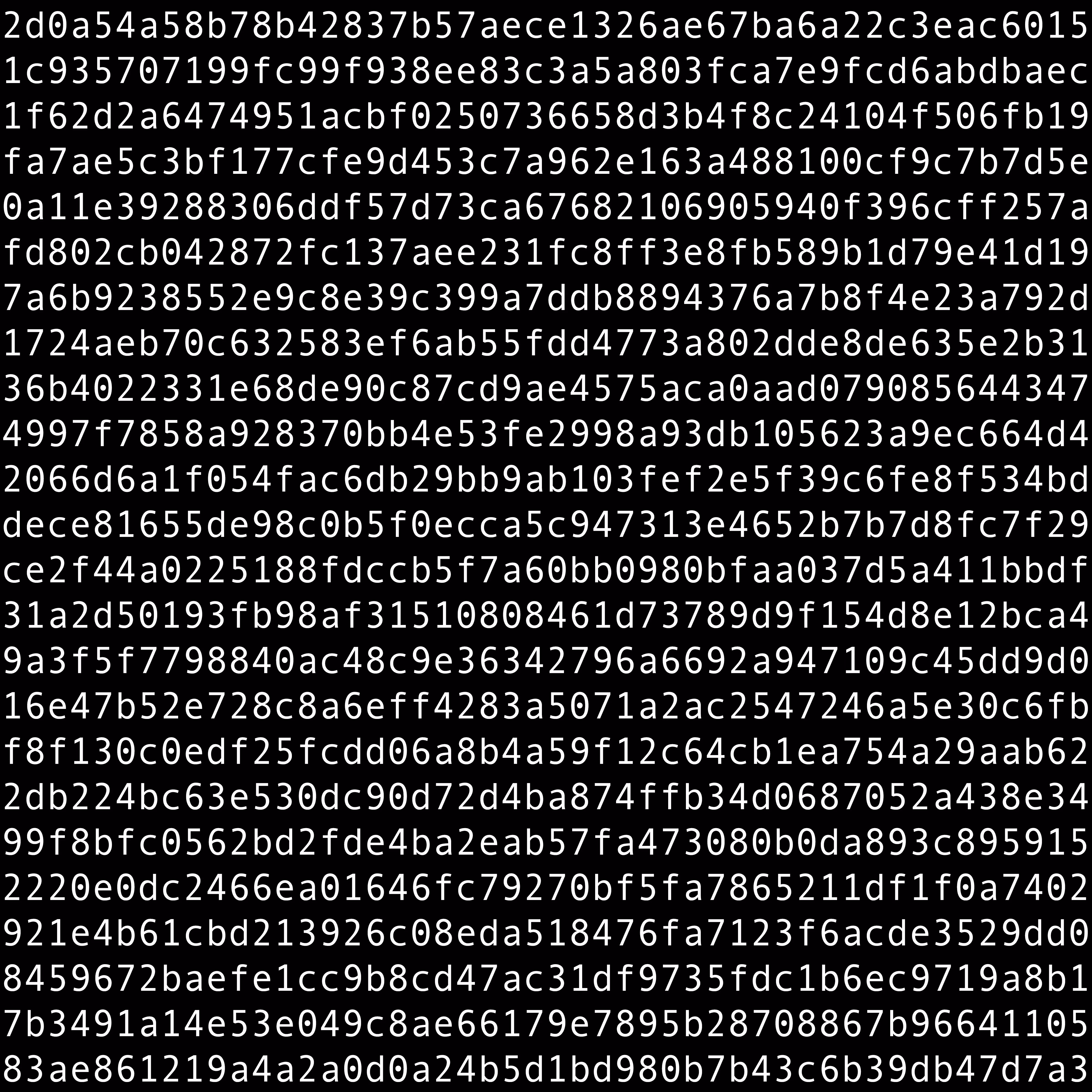 1111 #0175