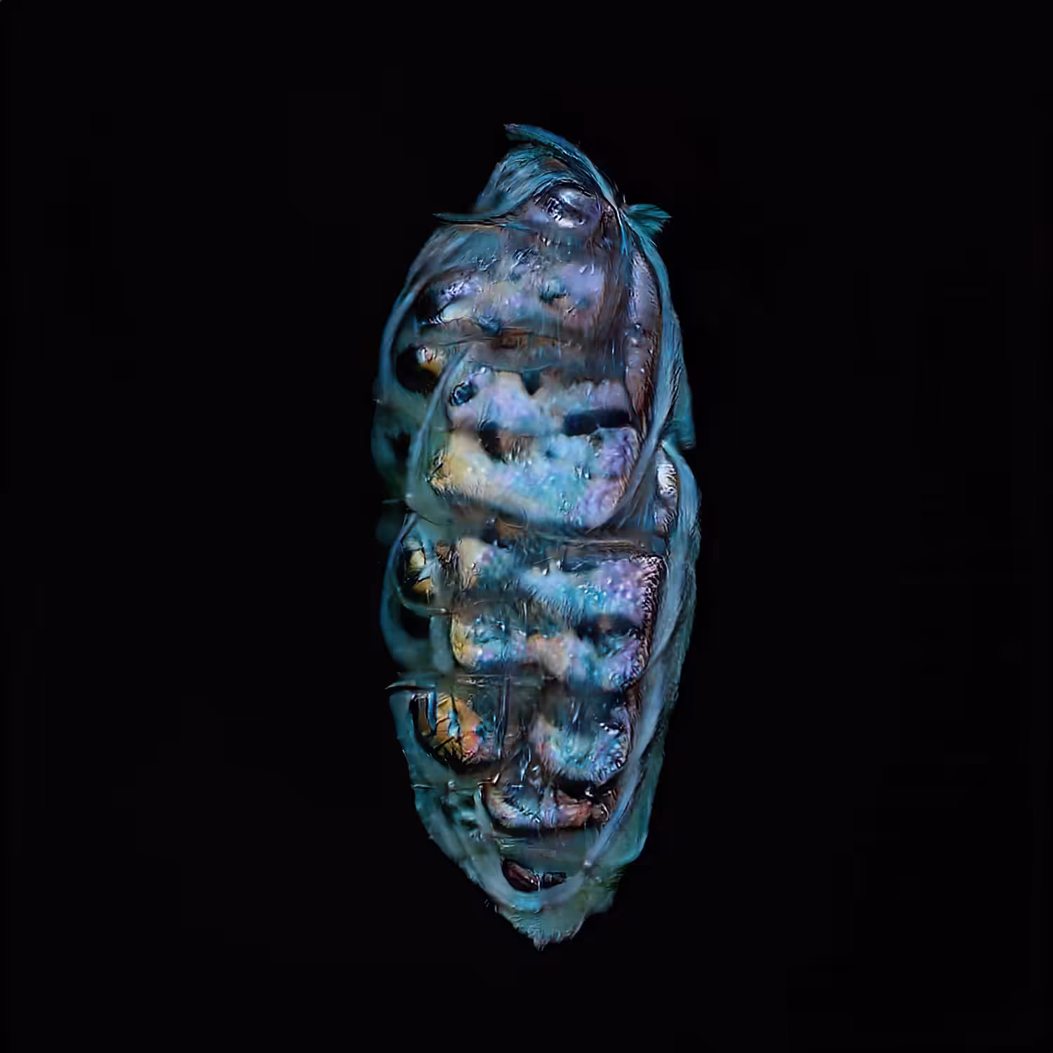 biomimicry_003